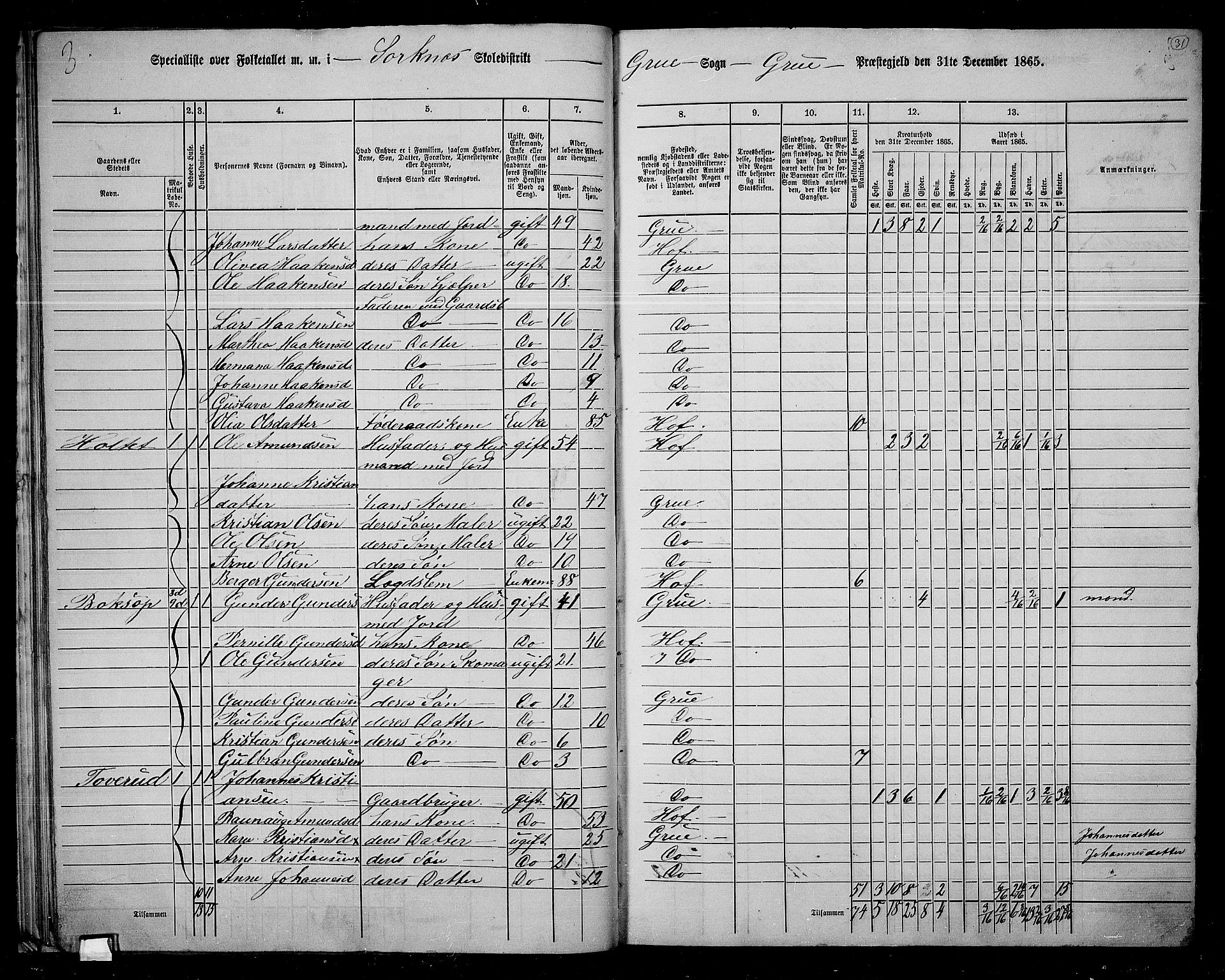 RA, 1865 census for Grue, 1865, p. 30