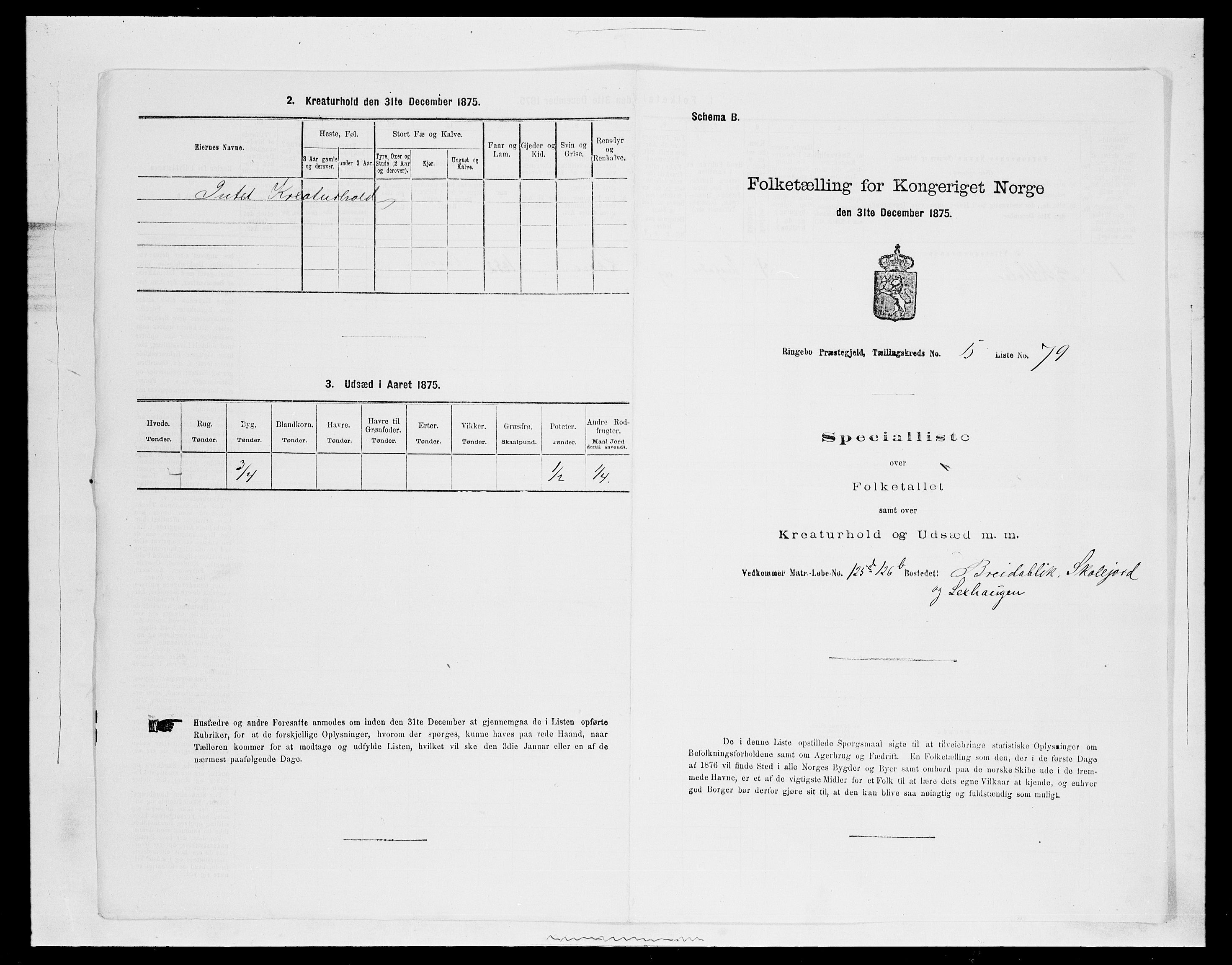 SAH, 1875 census for 0520P Ringebu, 1875, p. 833