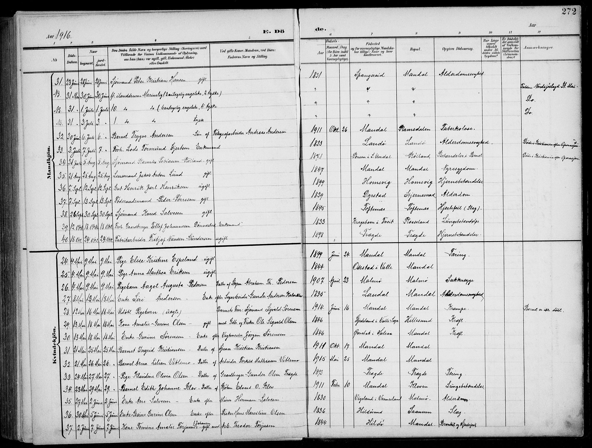 Mandal sokneprestkontor, AV/SAK-1111-0030/F/Fb/Fba/L0012: Parish register (copy) no. B 6, 1899-1918, p. 272