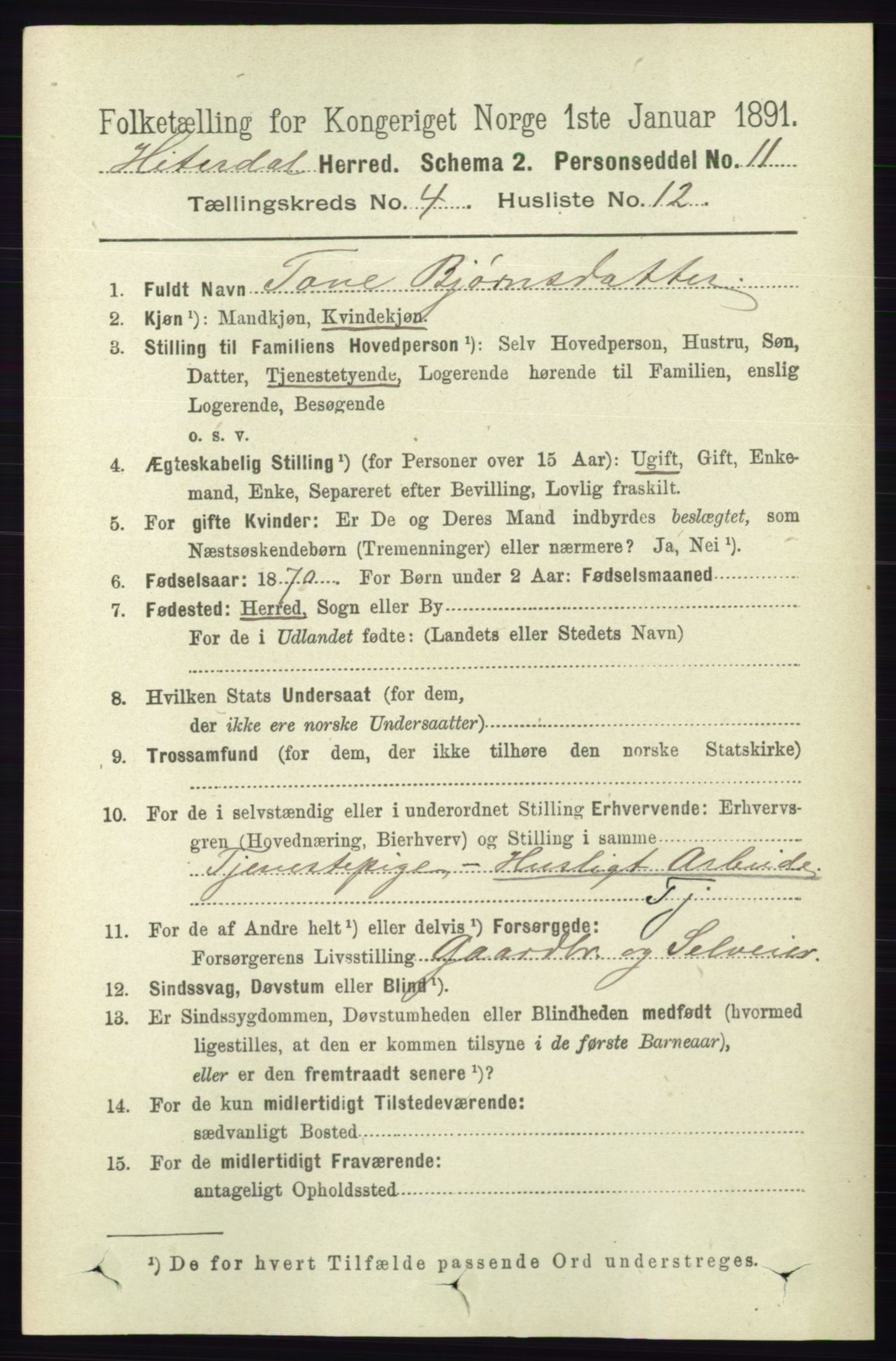 RA, 1891 census for 0823 Heddal, 1891, p. 1754