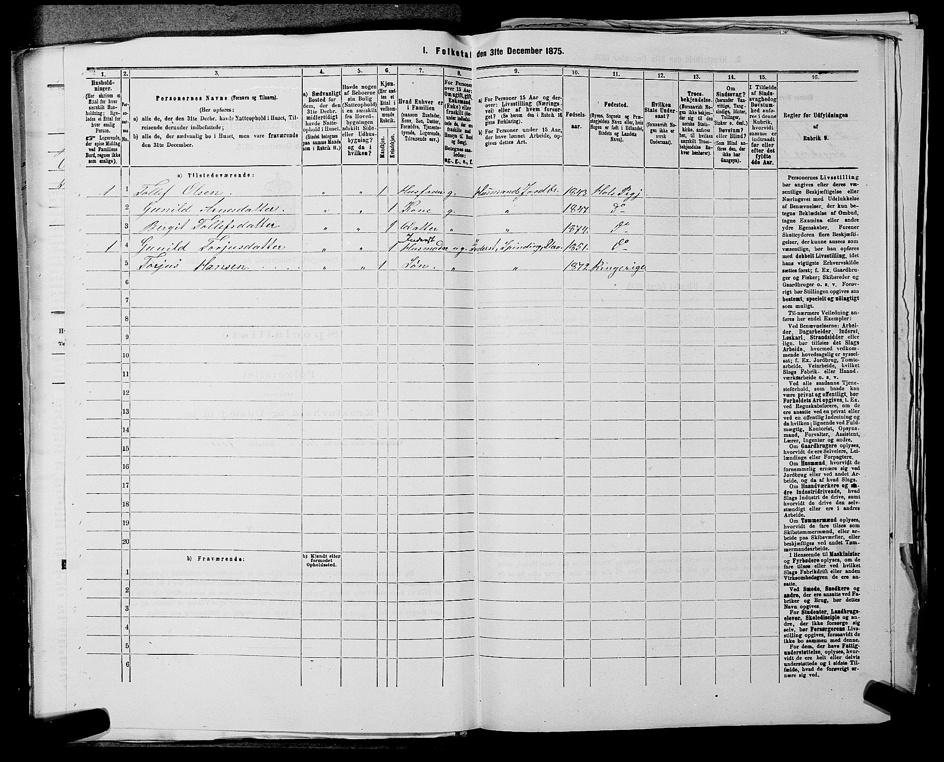 SAKO, 1875 census for 0620P Hol, 1875, p. 709