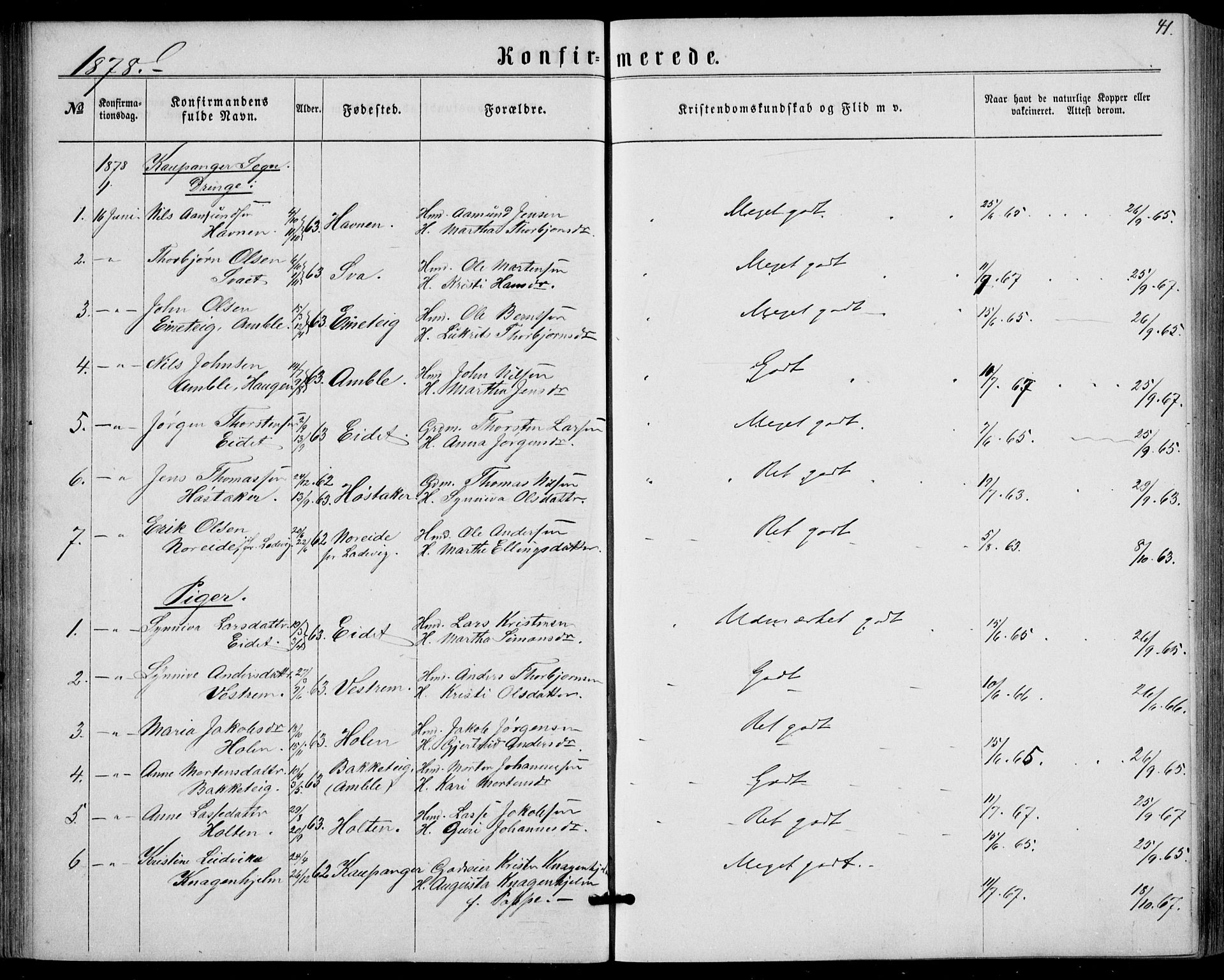 Sogndal sokneprestembete, SAB/A-81301/H/Haa/Haaa/L0015: Parish register (official) no. A 15, 1871-1904, p. 41