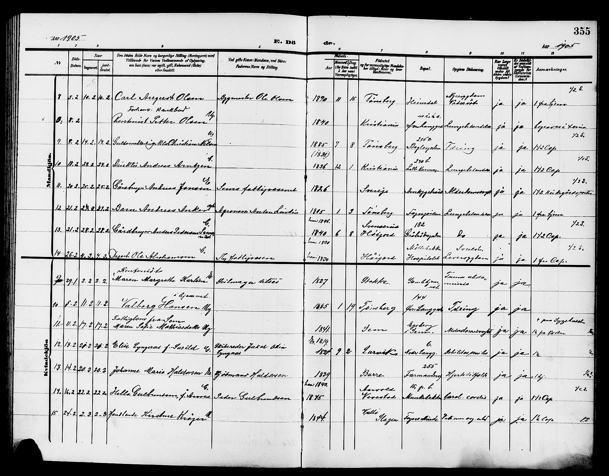 Tønsberg kirkebøker, AV/SAKO-A-330/G/Ga/L0008: Parish register (copy) no. 8, 1905-1912, p. 355