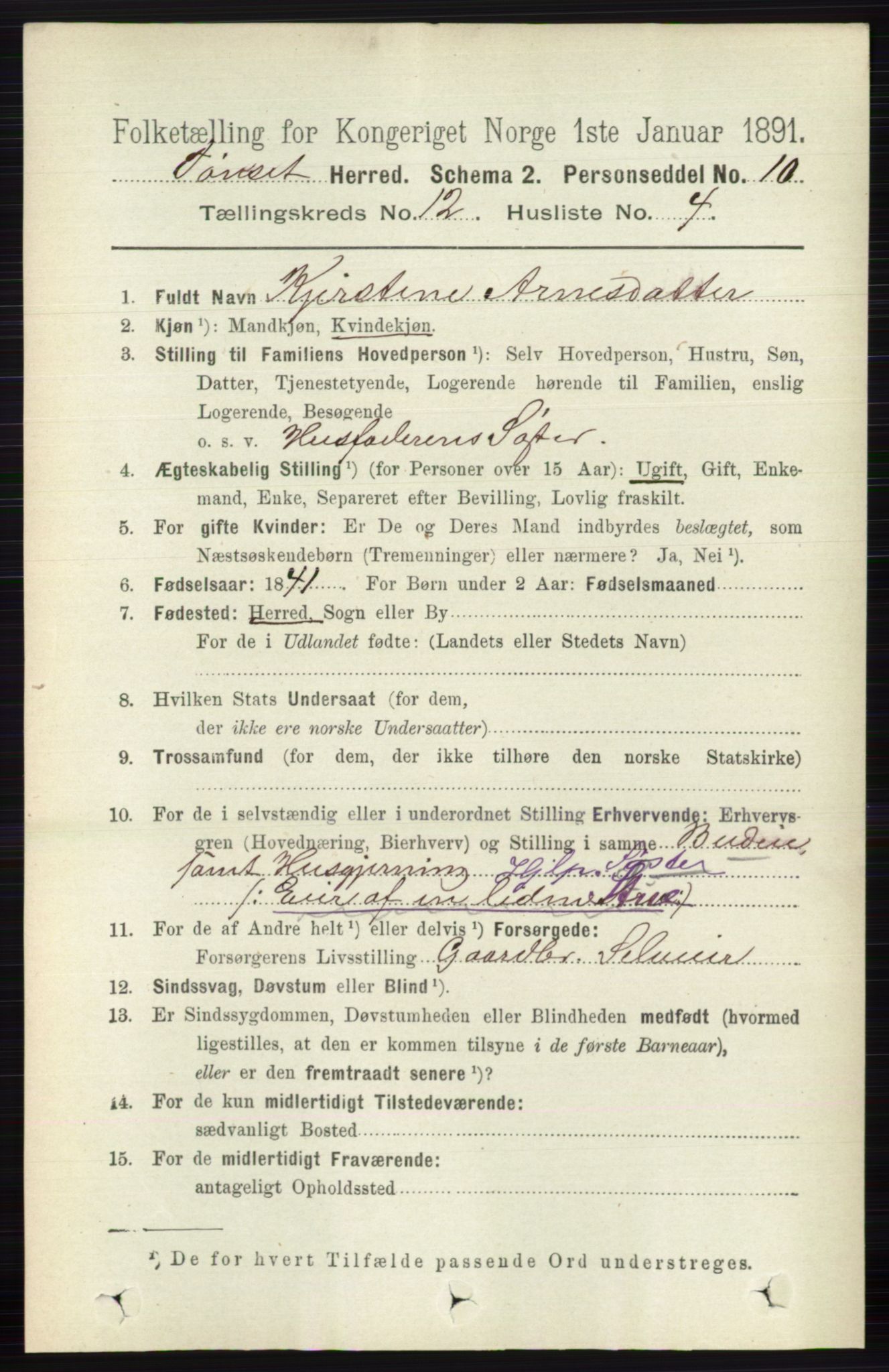 RA, 1891 census for 0437 Tynset, 1891, p. 3224