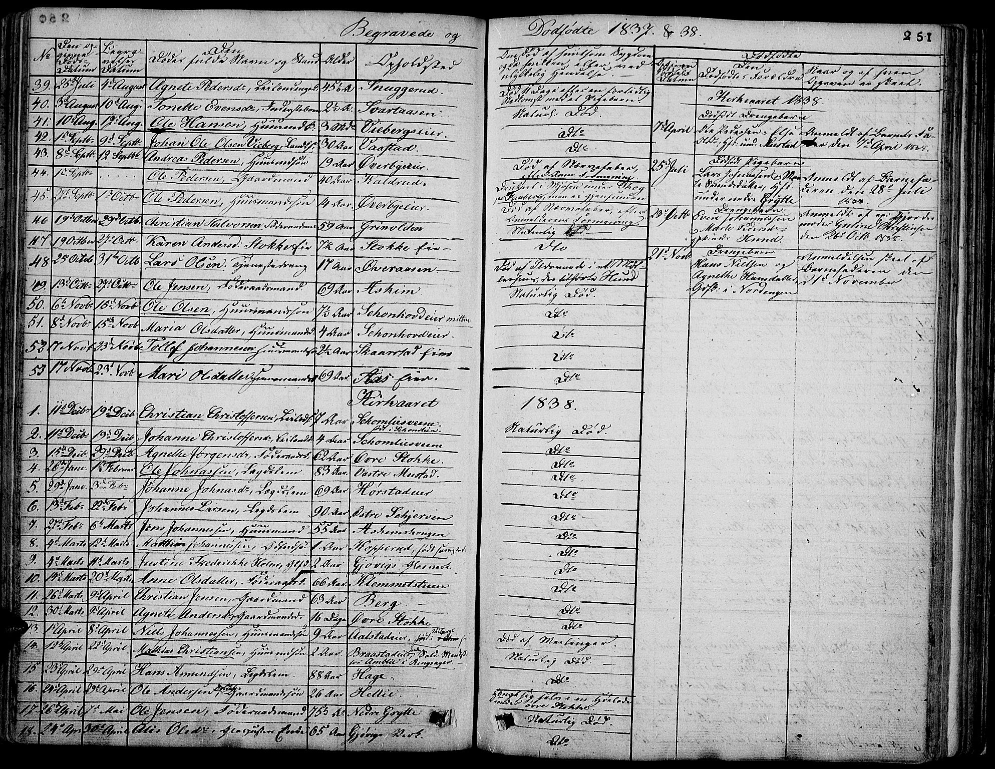 Vardal prestekontor, SAH/PREST-100/H/Ha/Hab/L0004: Parish register (copy) no. 4, 1831-1853, p. 251
