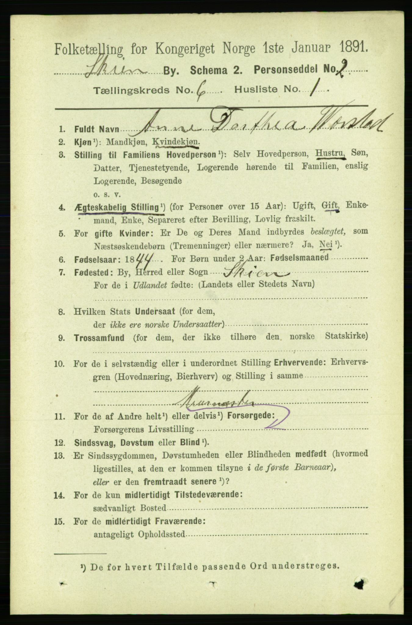 RA, 1891 census for 0806 Skien, 1891, p. 2995