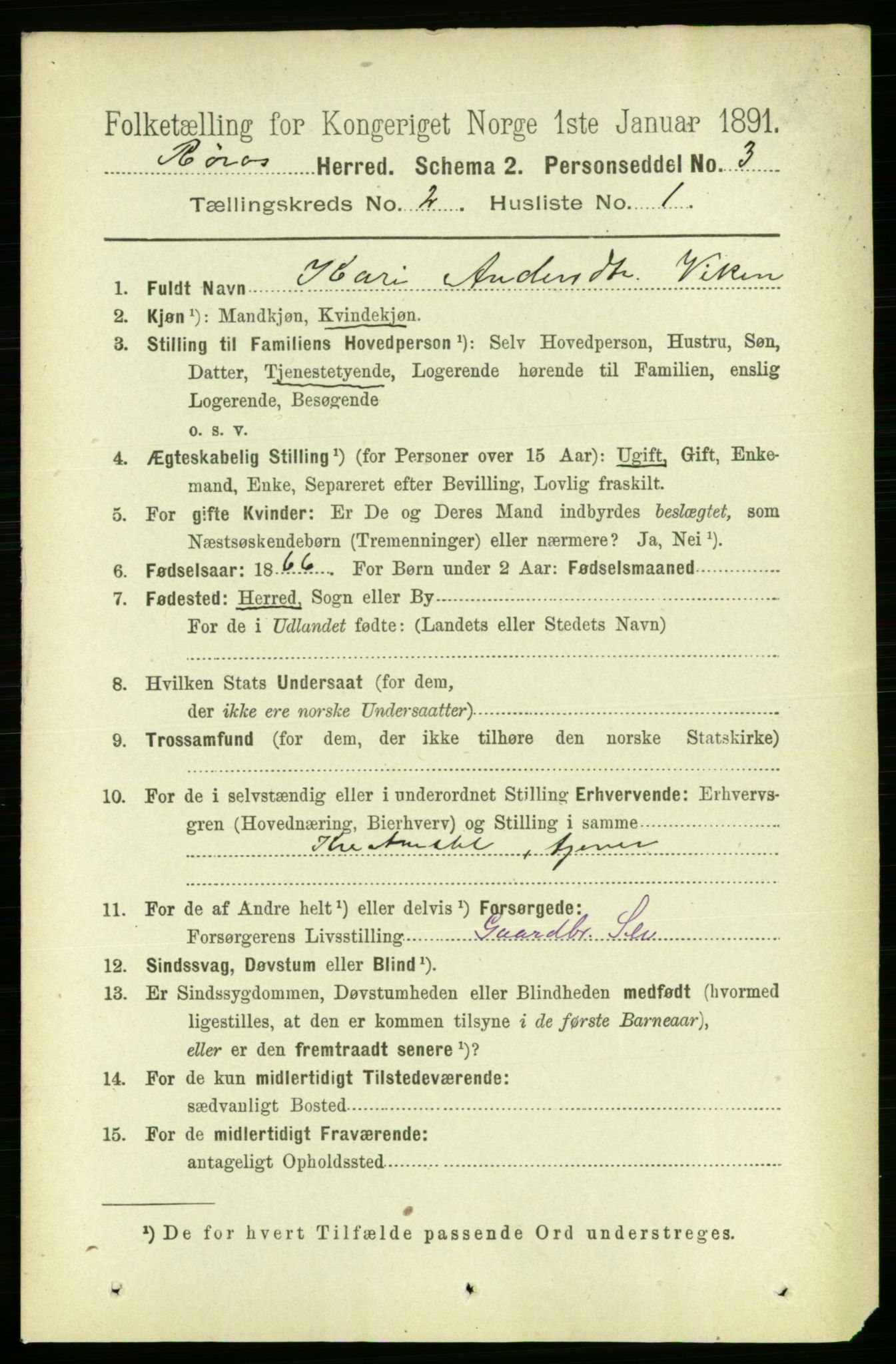 RA, 1891 census for 1640 Røros, 1891, p. 266