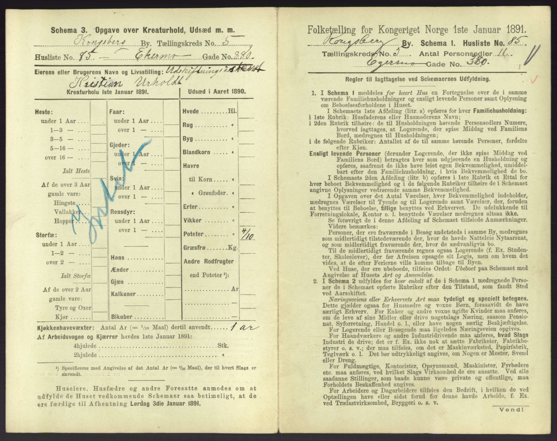 RA, 1891 census for 0604 Kongsberg, 1891, p. 917