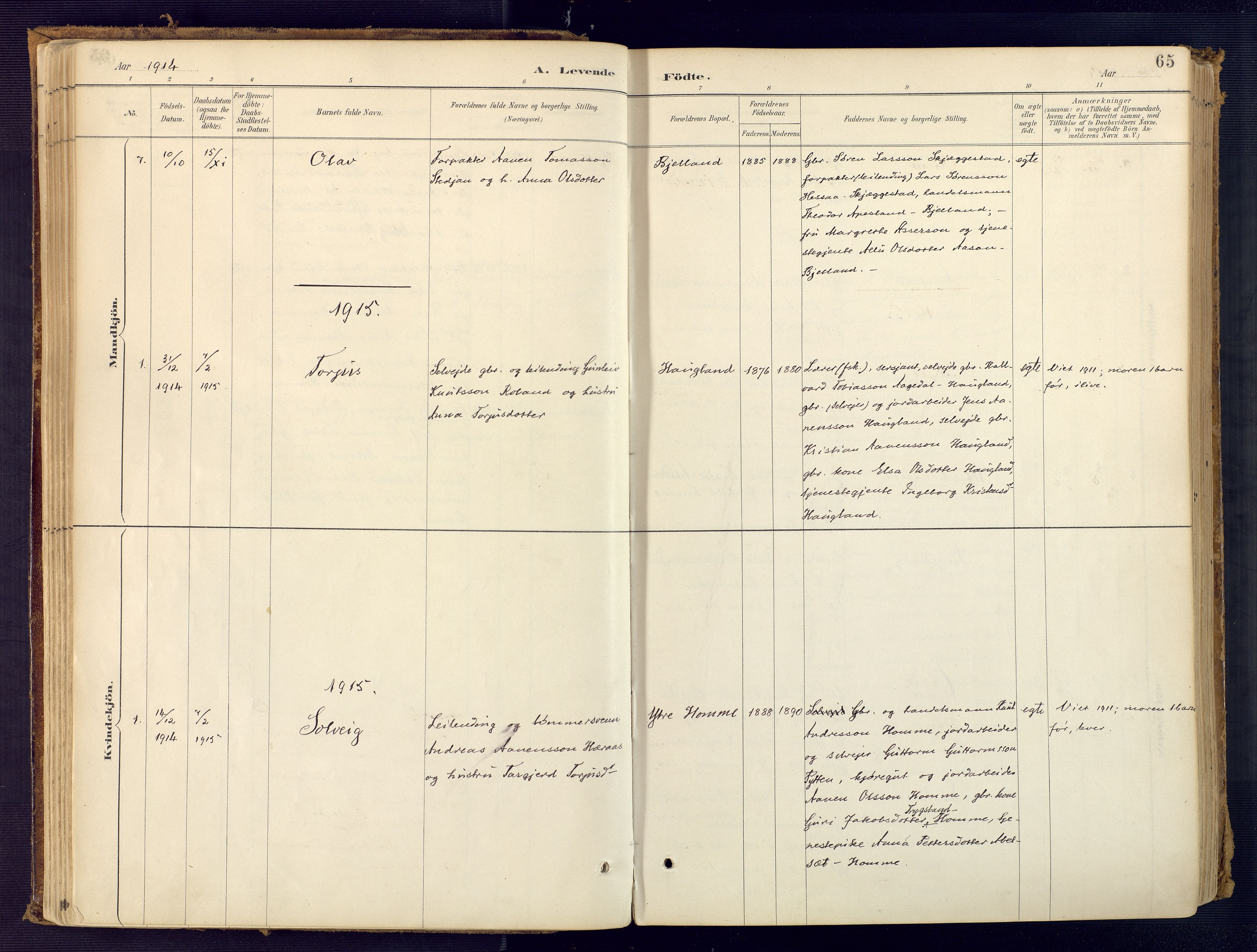 Bjelland sokneprestkontor, SAK/1111-0005/F/Fa/Faa/L0004: Parish register (official) no. A 4, 1887-1923, p. 65