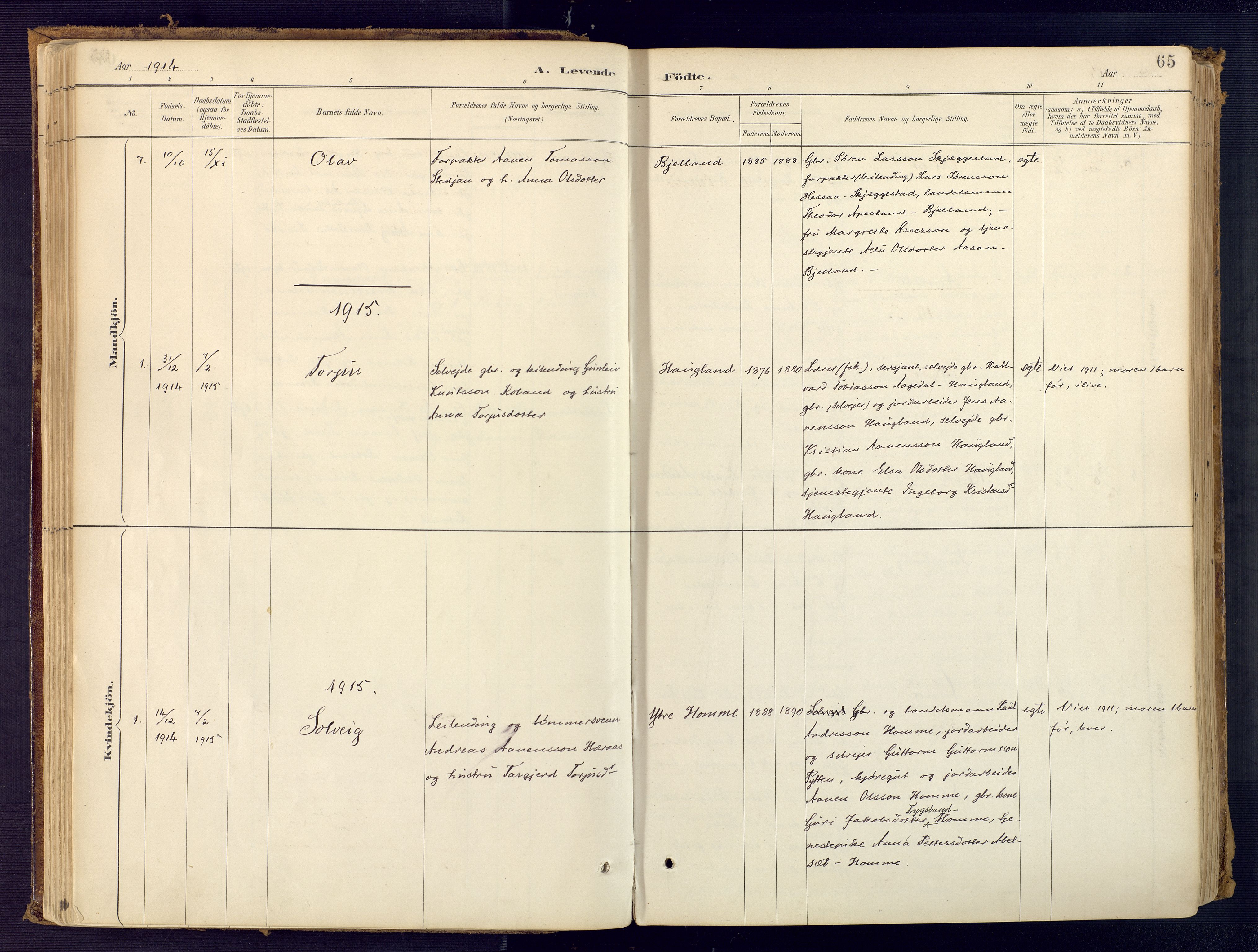 Bjelland sokneprestkontor, AV/SAK-1111-0005/F/Fa/Faa/L0004: Parish register (official) no. A 4, 1887-1923, p. 65