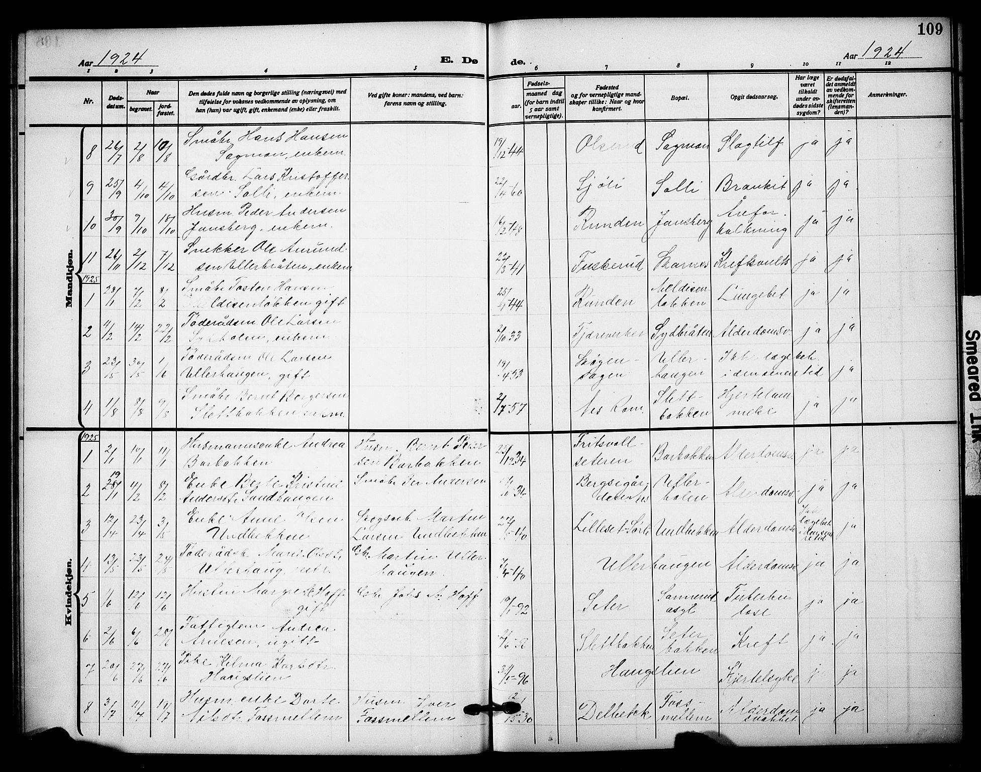 Sør-Odal prestekontor, AV/SAH-PREST-030/H/Ha/Hab/L0009: Parish register (copy) no. 9, 1915-1927, p. 109