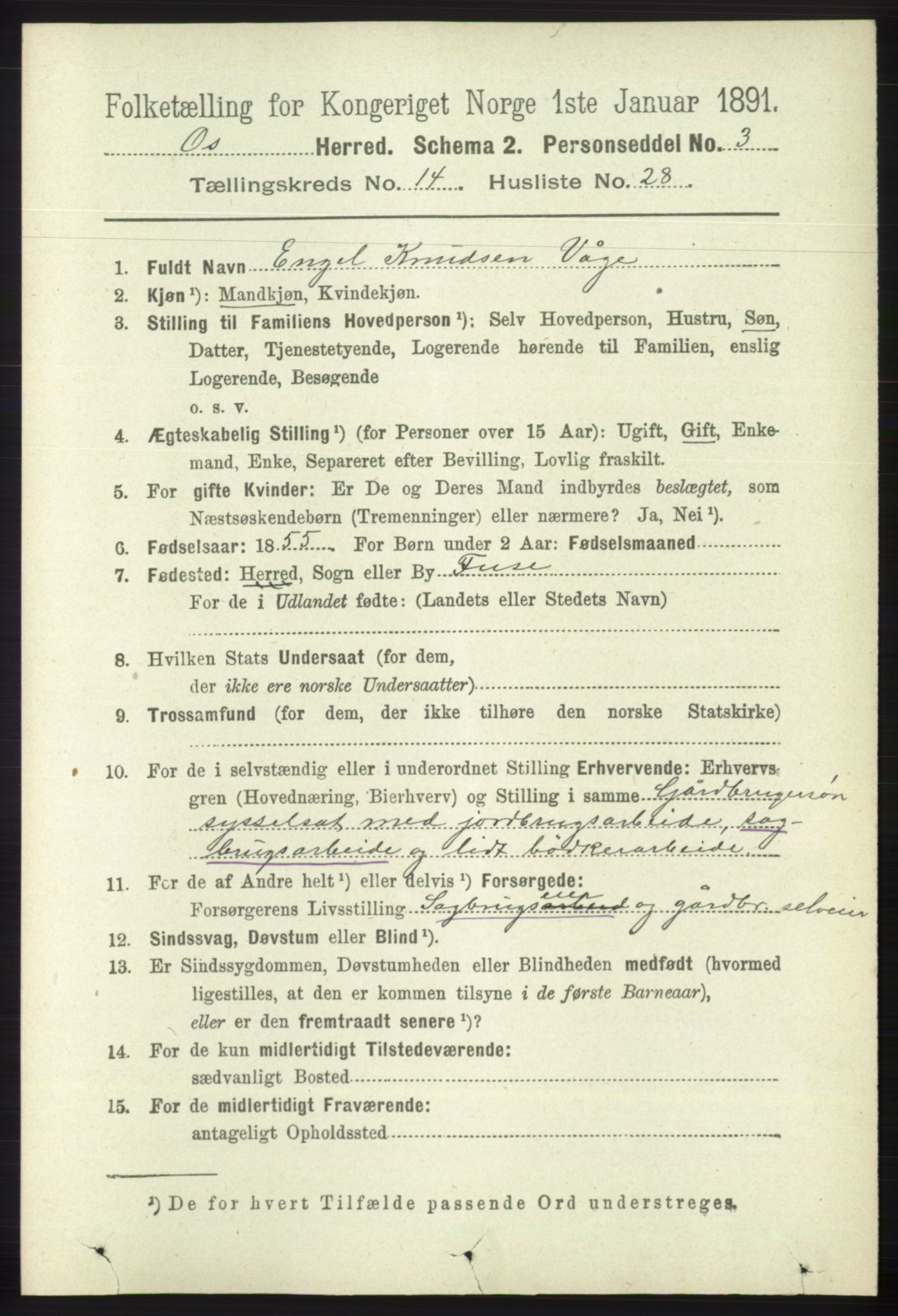 RA, 1891 census for 1243 Os, 1891, p. 3245