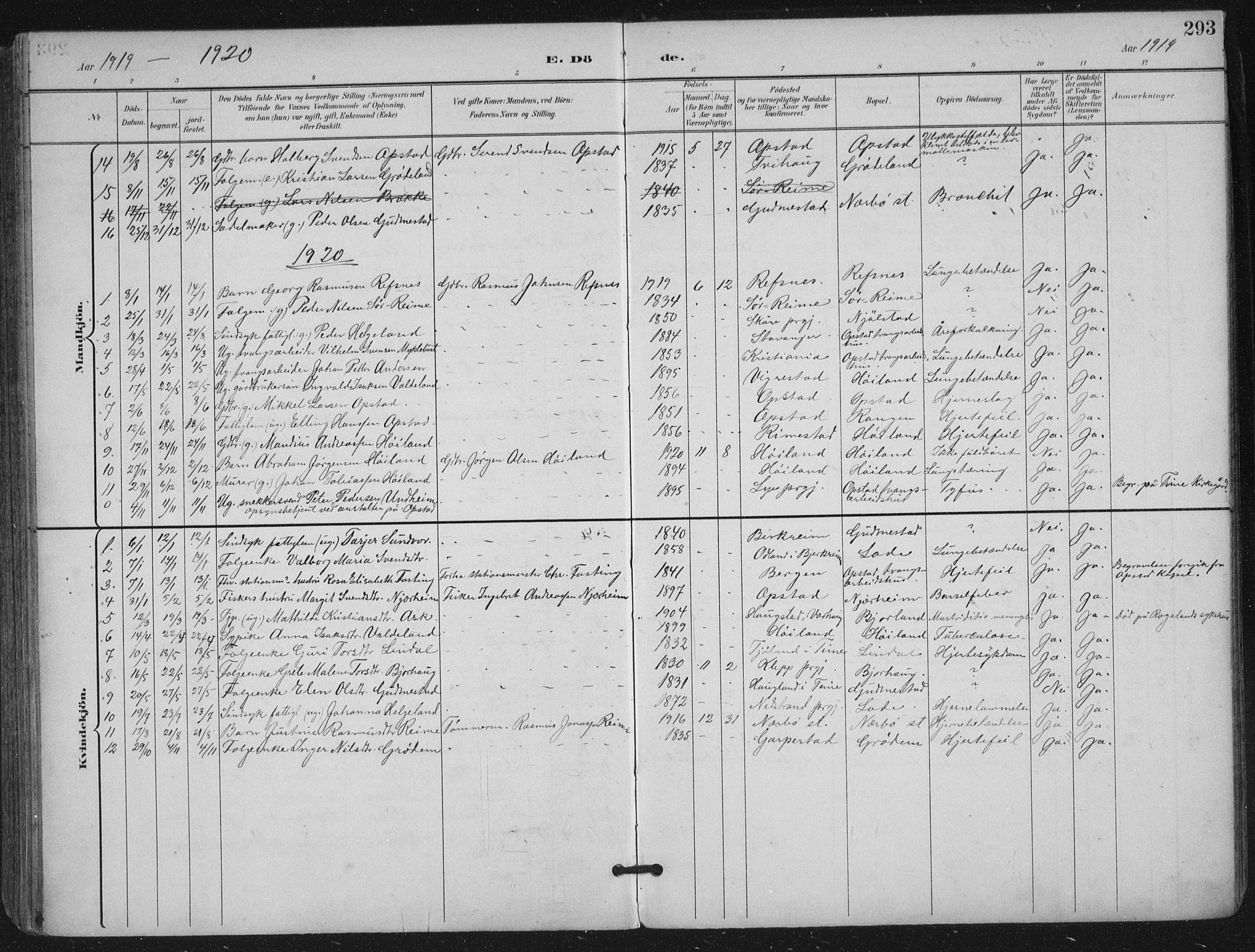 Hå sokneprestkontor, SAST/A-101801/002/B/L0001: Parish register (official) no. A 11, 1897-1924, p. 293