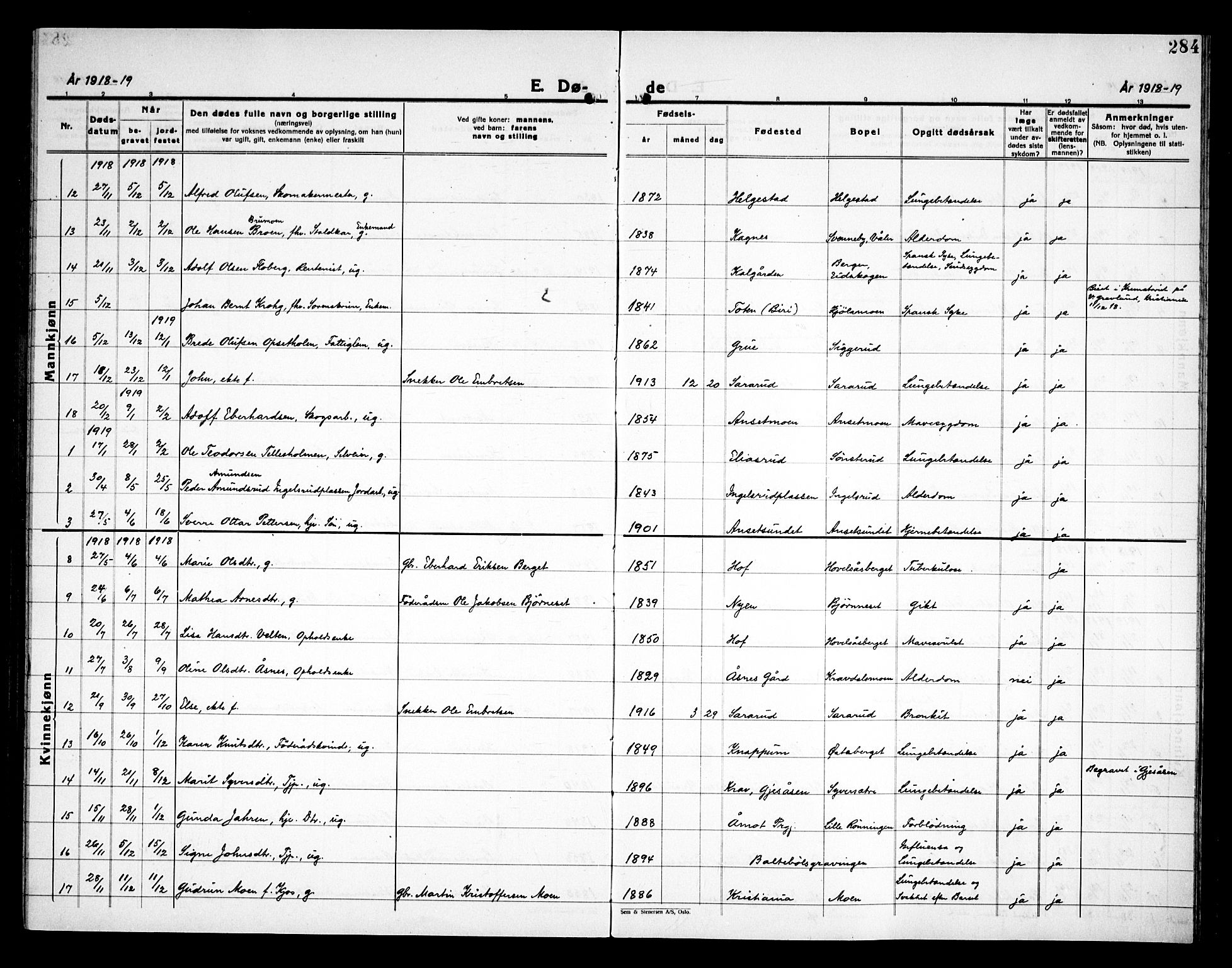 Åsnes prestekontor, SAH/PREST-042/H/Ha/Haa/L0000C: Parish register (official) no. 0A, 1890-1929, p. 284