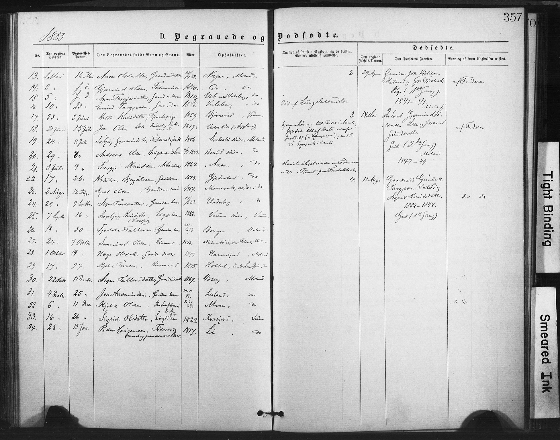 Fyresdal kirkebøker, SAKO/A-263/F/Fa/L0006: Parish register (official) no. I 6, 1872-1886, p. 357