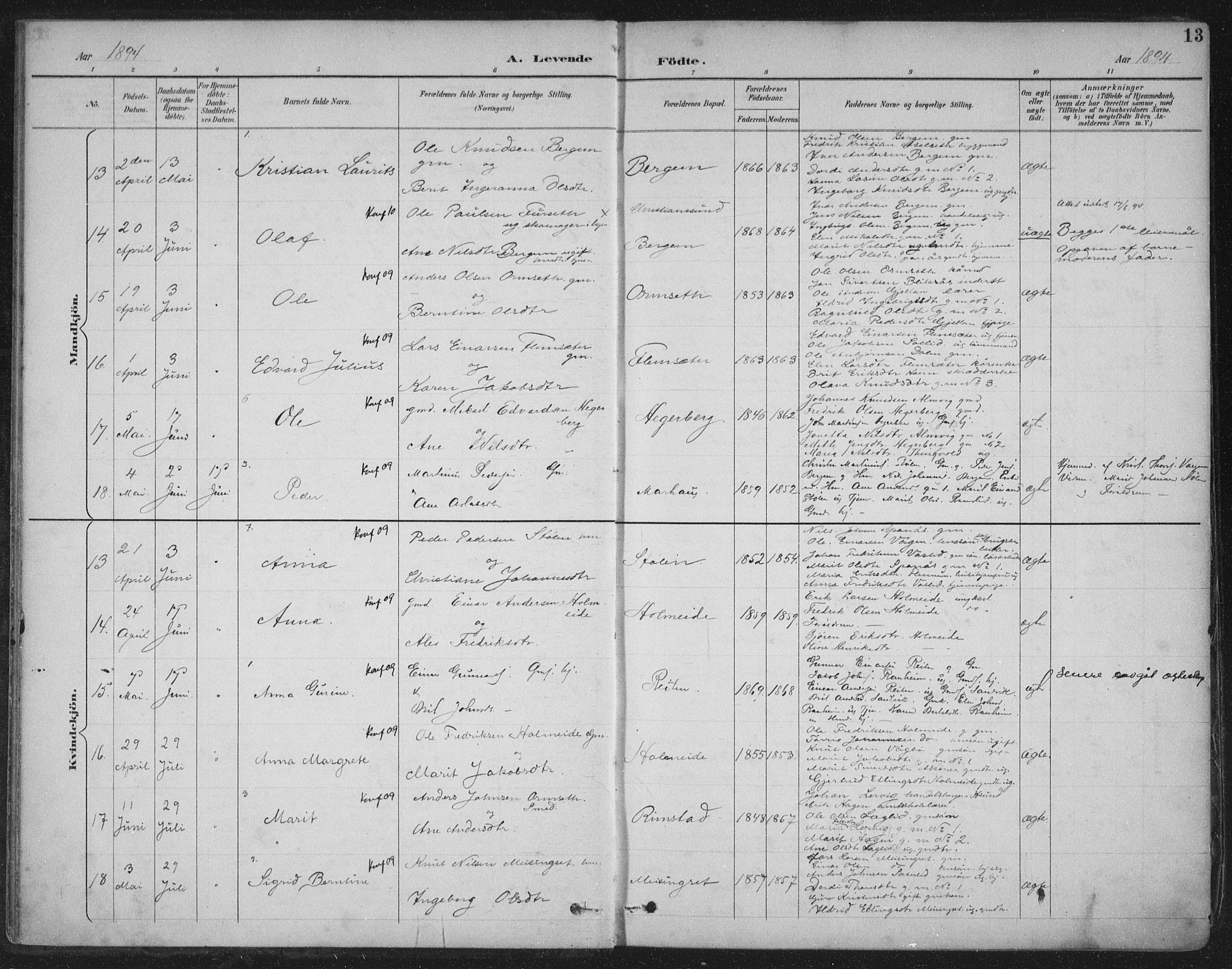 Ministerialprotokoller, klokkerbøker og fødselsregistre - Møre og Romsdal, AV/SAT-A-1454/586/L0988: Parish register (official) no. 586A14, 1893-1905, p. 13