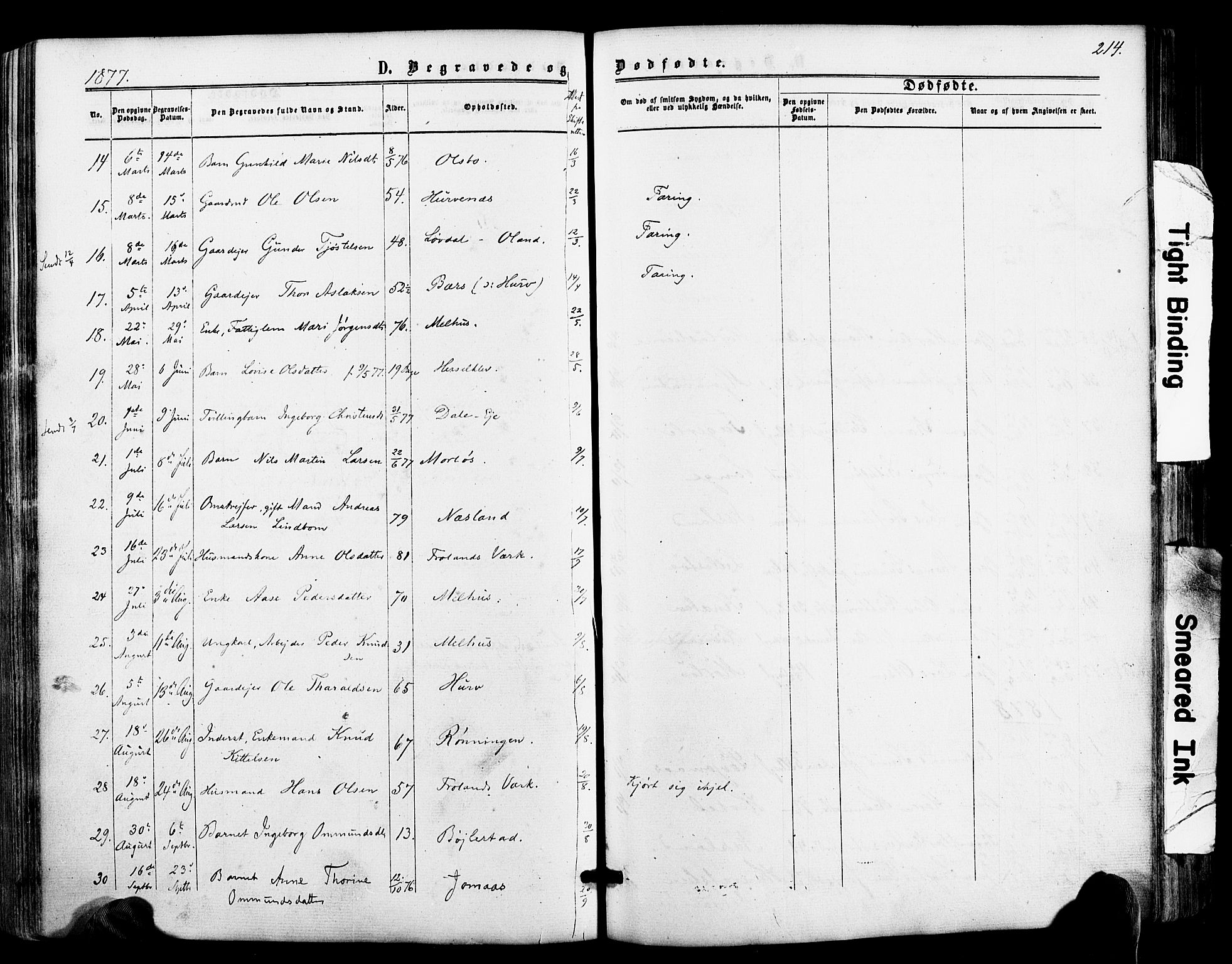 Froland sokneprestkontor, SAK/1111-0013/F/Fa/L0003: Parish register (official) no. A 3, 1864-1881, p. 214