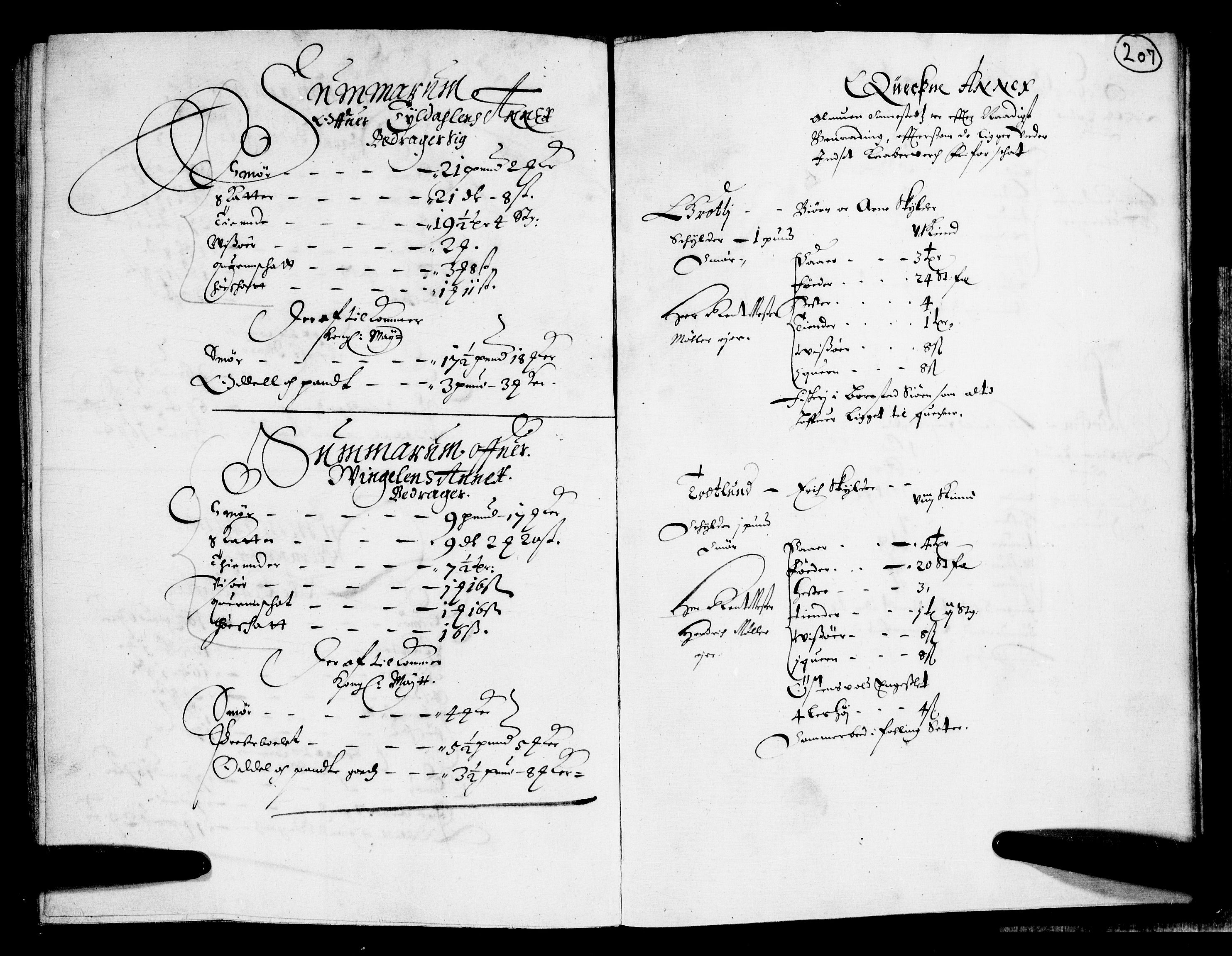 Rentekammeret inntil 1814, Realistisk ordnet avdeling, RA/EA-4070/N/Nb/Nba/L0011: Odal, Solør og Østerdalen fogderi, 1667, p. 206b-207a