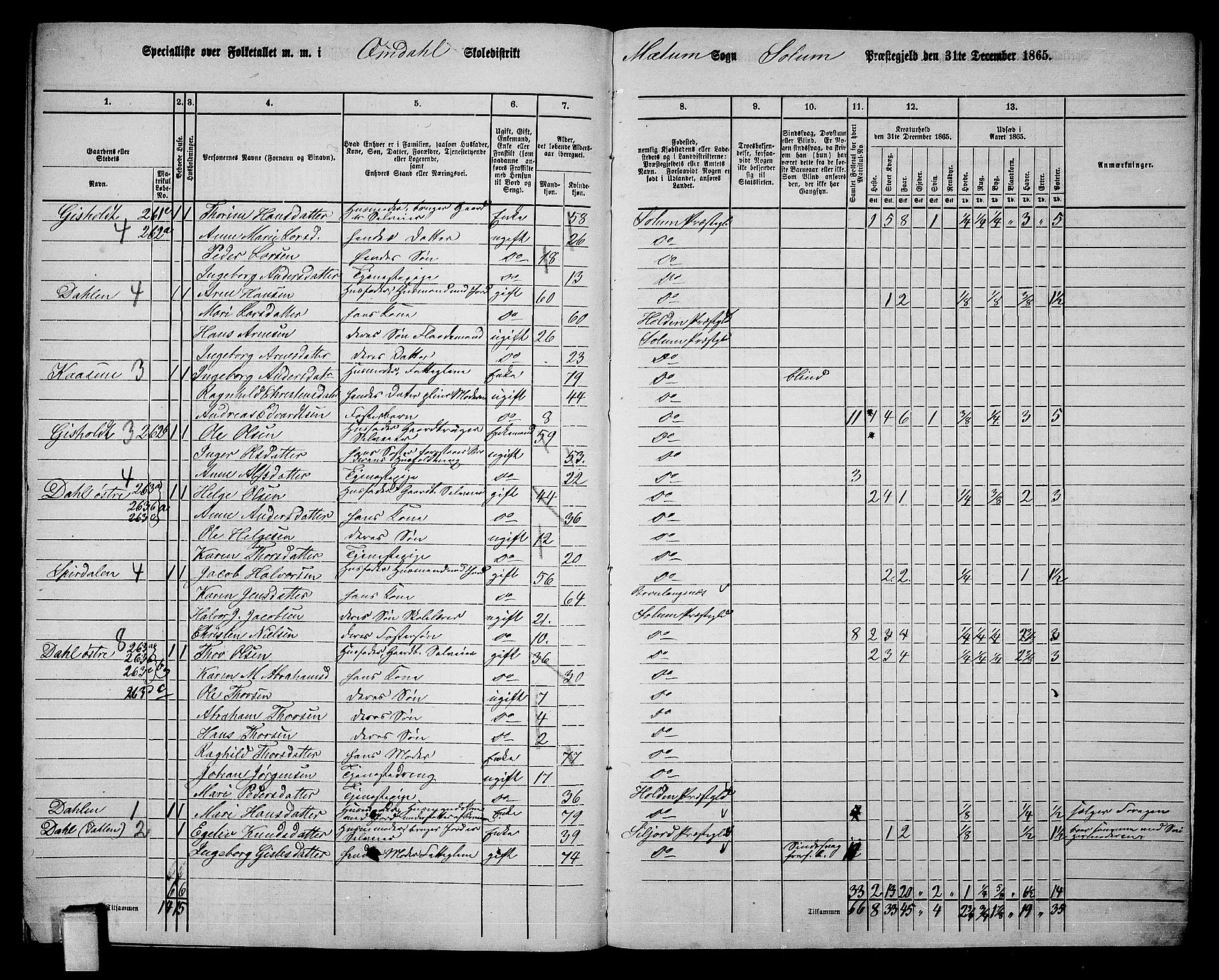 RA, 1865 census for Solum, 1865, p. 206