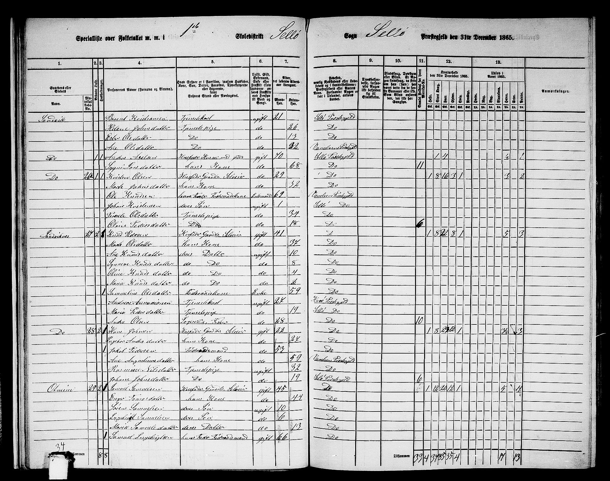 RA, 1865 census for Selje, 1865, p. 24