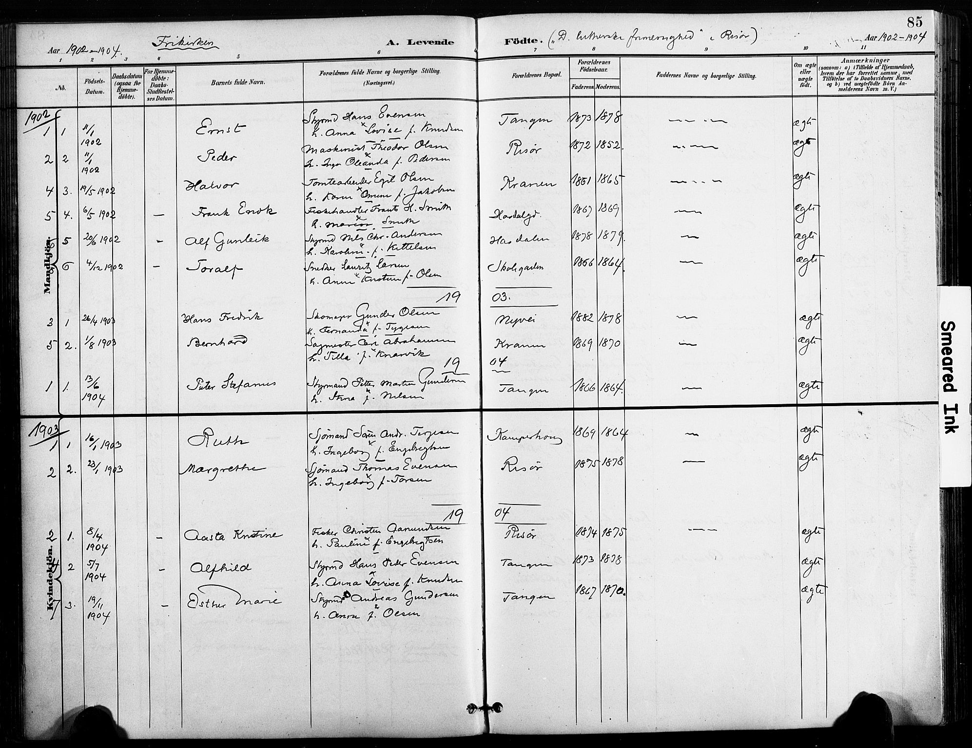 Risør sokneprestkontor, AV/SAK-1111-0035/F/Fa/L0010: Parish register (official) no. A 10, 1896-1906, p. 85