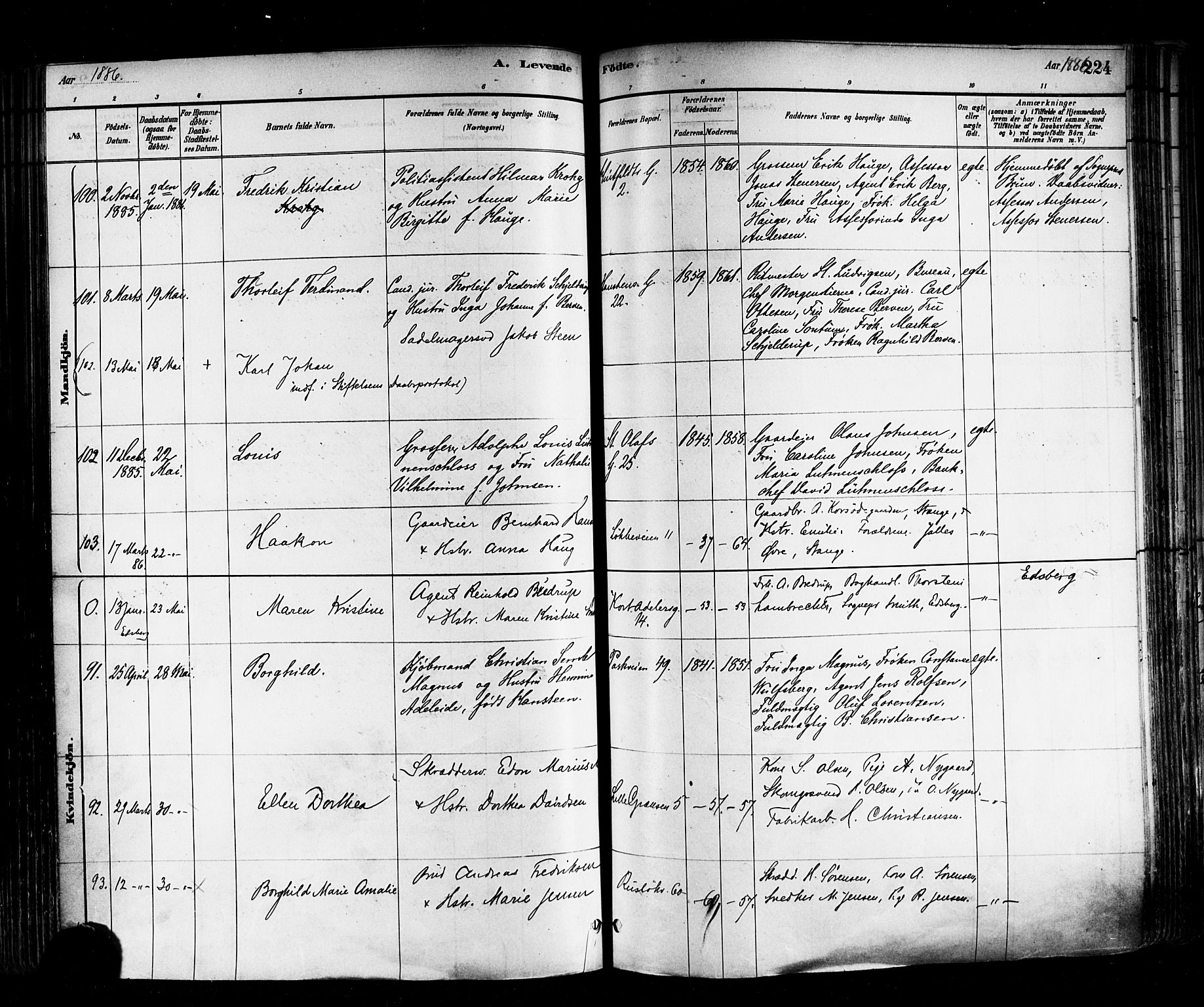 Trefoldighet prestekontor Kirkebøker, SAO/A-10882/F/Fa/L0005: Parish register (official) no. I 5, 1881-1891, p. 224