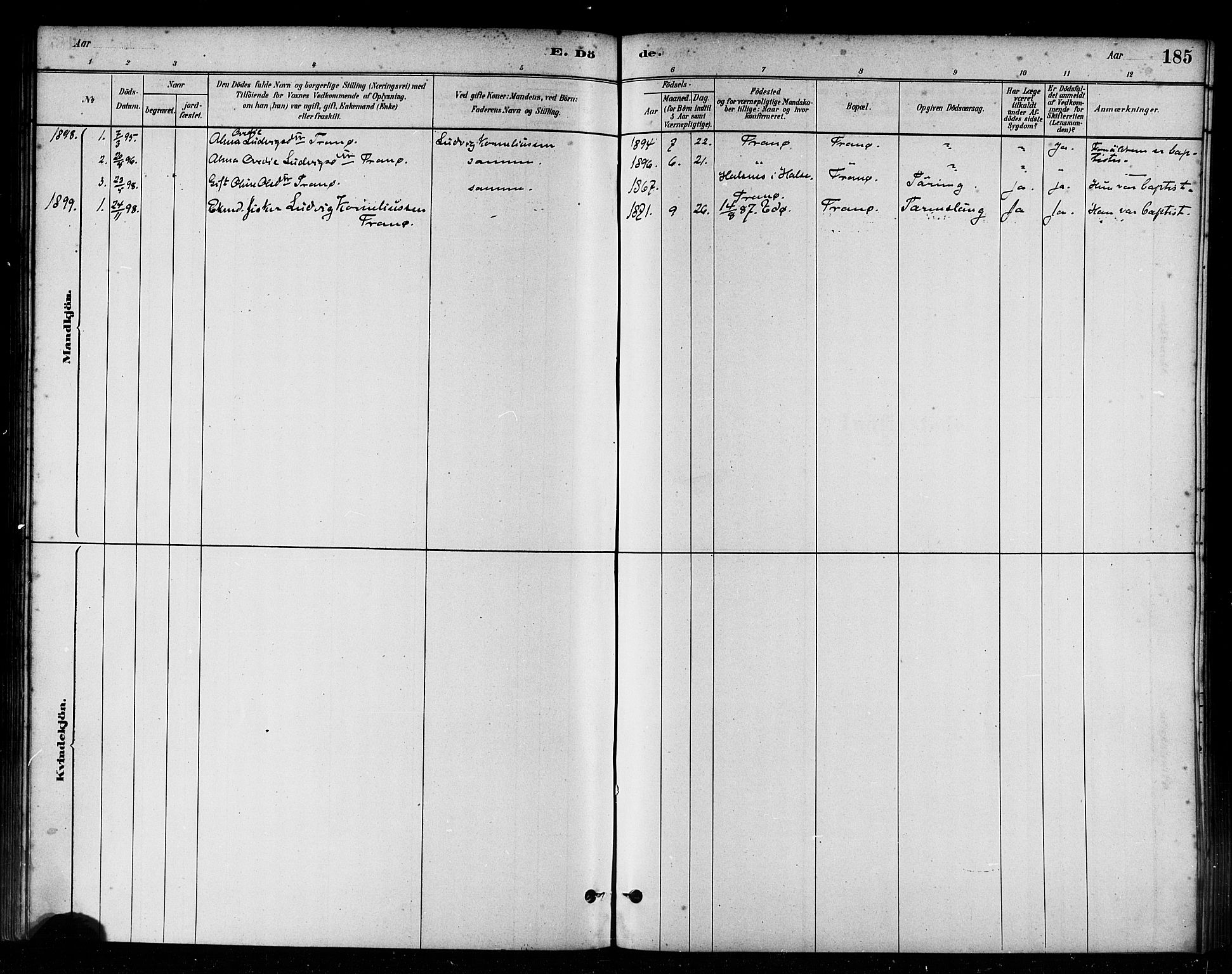 Ministerialprotokoller, klokkerbøker og fødselsregistre - Møre og Romsdal, AV/SAT-A-1454/582/L0947: Parish register (official) no. 582A01, 1880-1900, p. 185