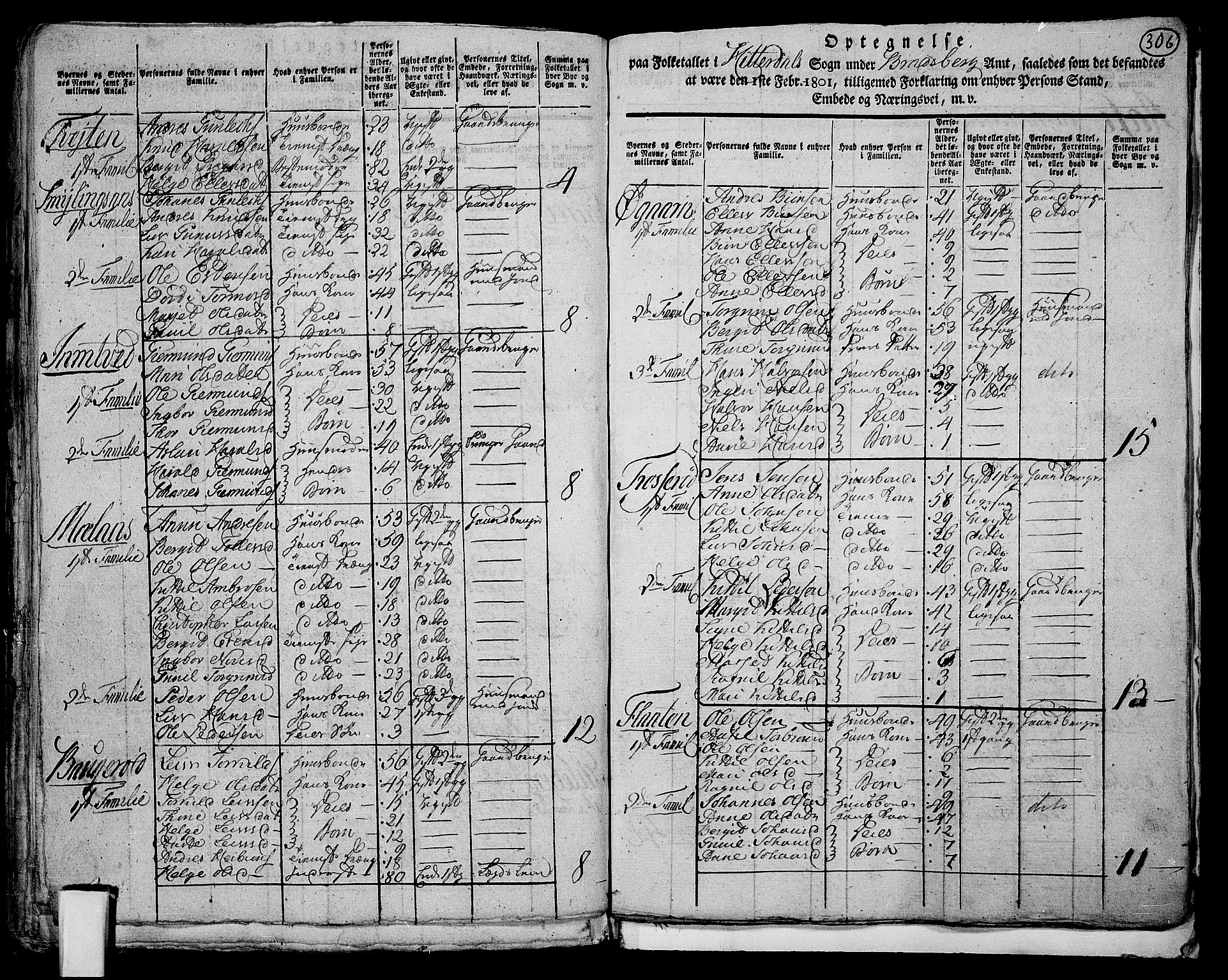 RA, 1801 census for 0823P Heddal, 1801, p. 305b-306a