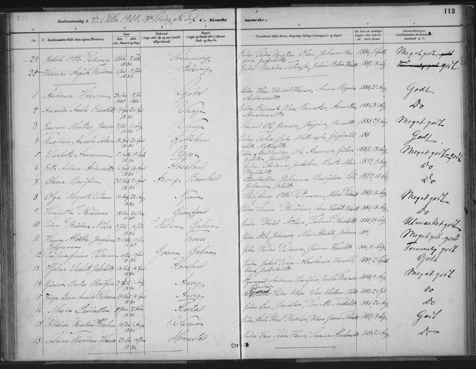 Sør-Audnedal sokneprestkontor, SAK/1111-0039/F/Fa/Faa/L0004: Parish register (official) no. A 4, 1884-1909, p. 113