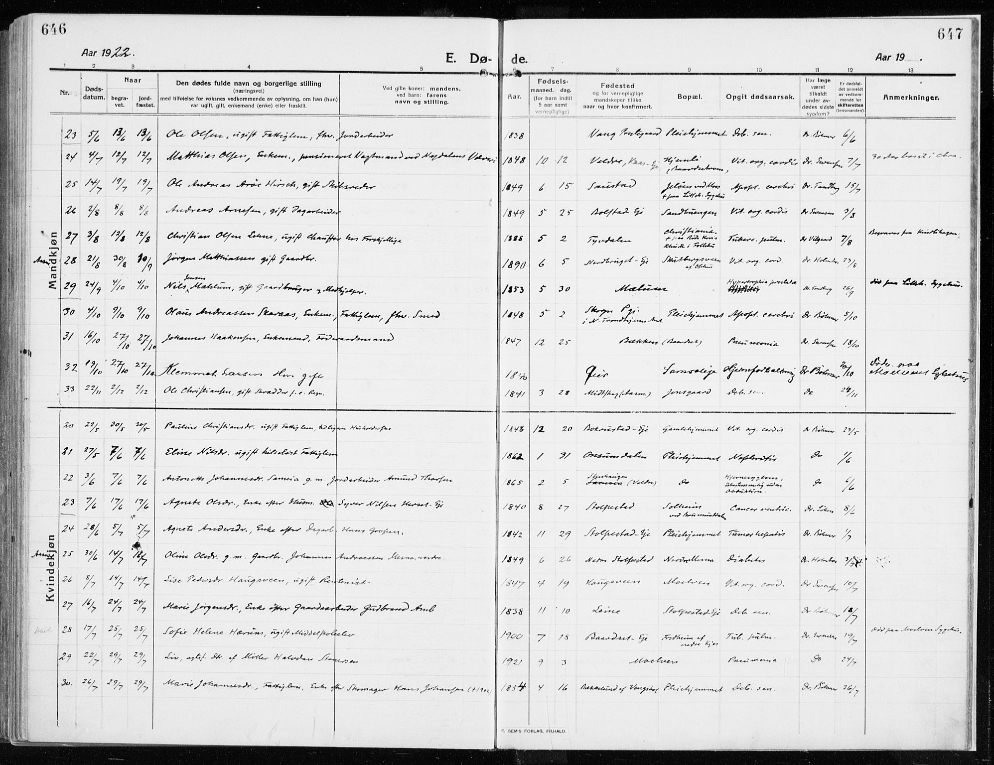 Ringsaker prestekontor, SAH/PREST-014/K/Ka/L0020: Parish register (official) no. 20, 1913-1922, p. 646-647