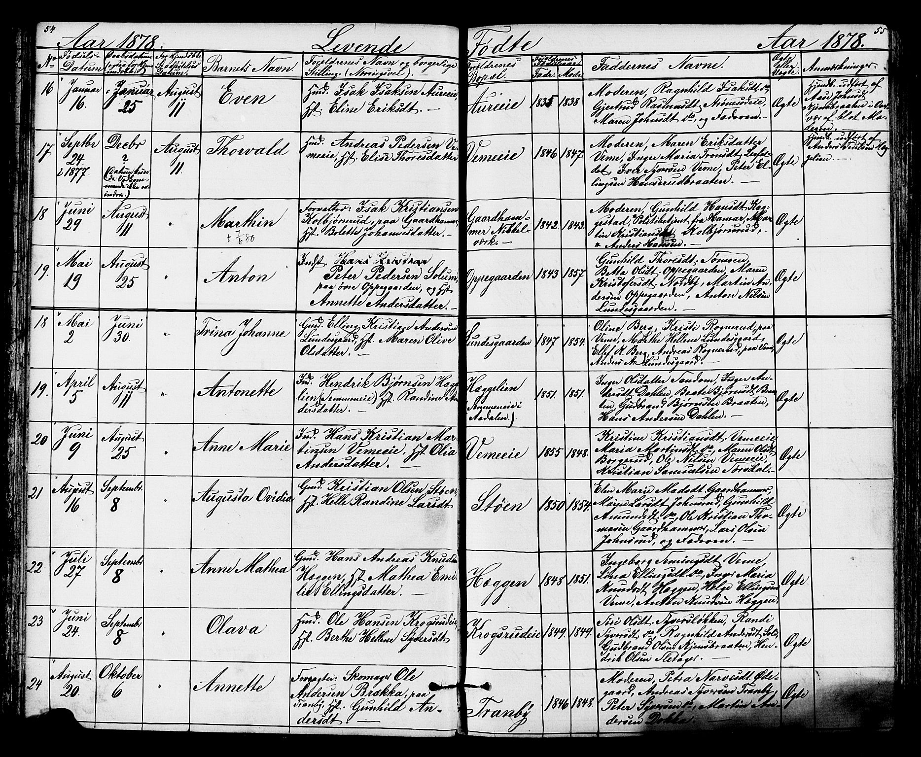 Lunder kirkebøker, AV/SAKO-A-629/G/Ga/L0003a: Parish register (copy) no. I 3, 1869-1888, p. 54-55