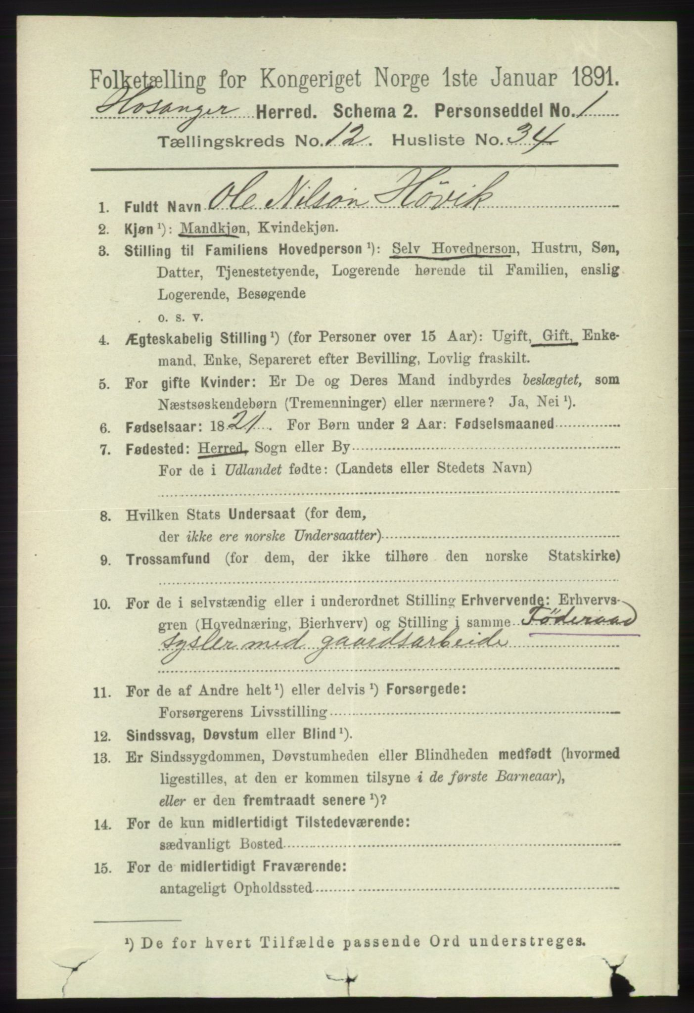 RA, 1891 census for 1253 Hosanger, 1891, p. 4271