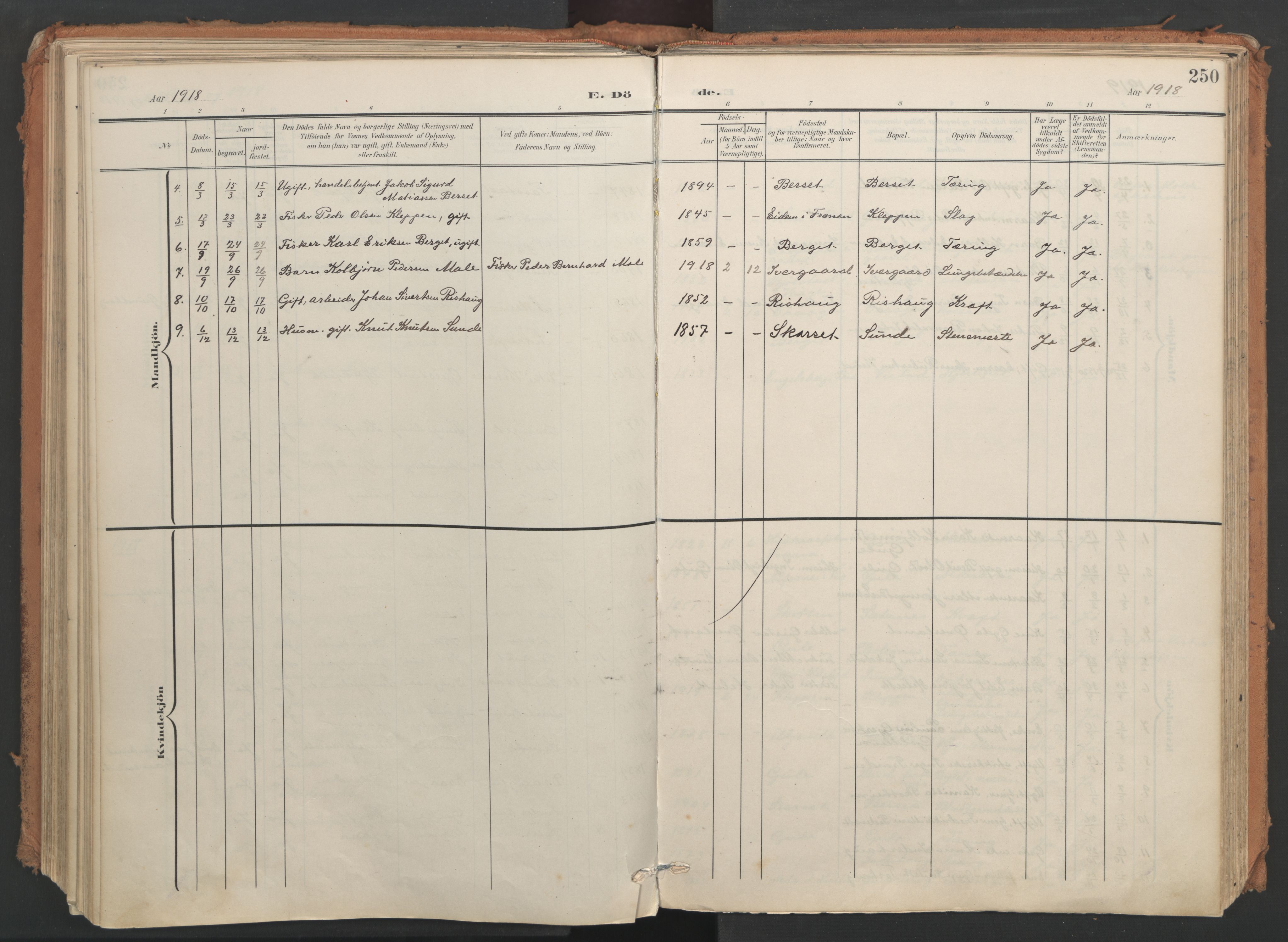 Ministerialprotokoller, klokkerbøker og fødselsregistre - Møre og Romsdal, SAT/A-1454/566/L0771: Parish register (official) no. 566A10, 1904-1929, p. 250