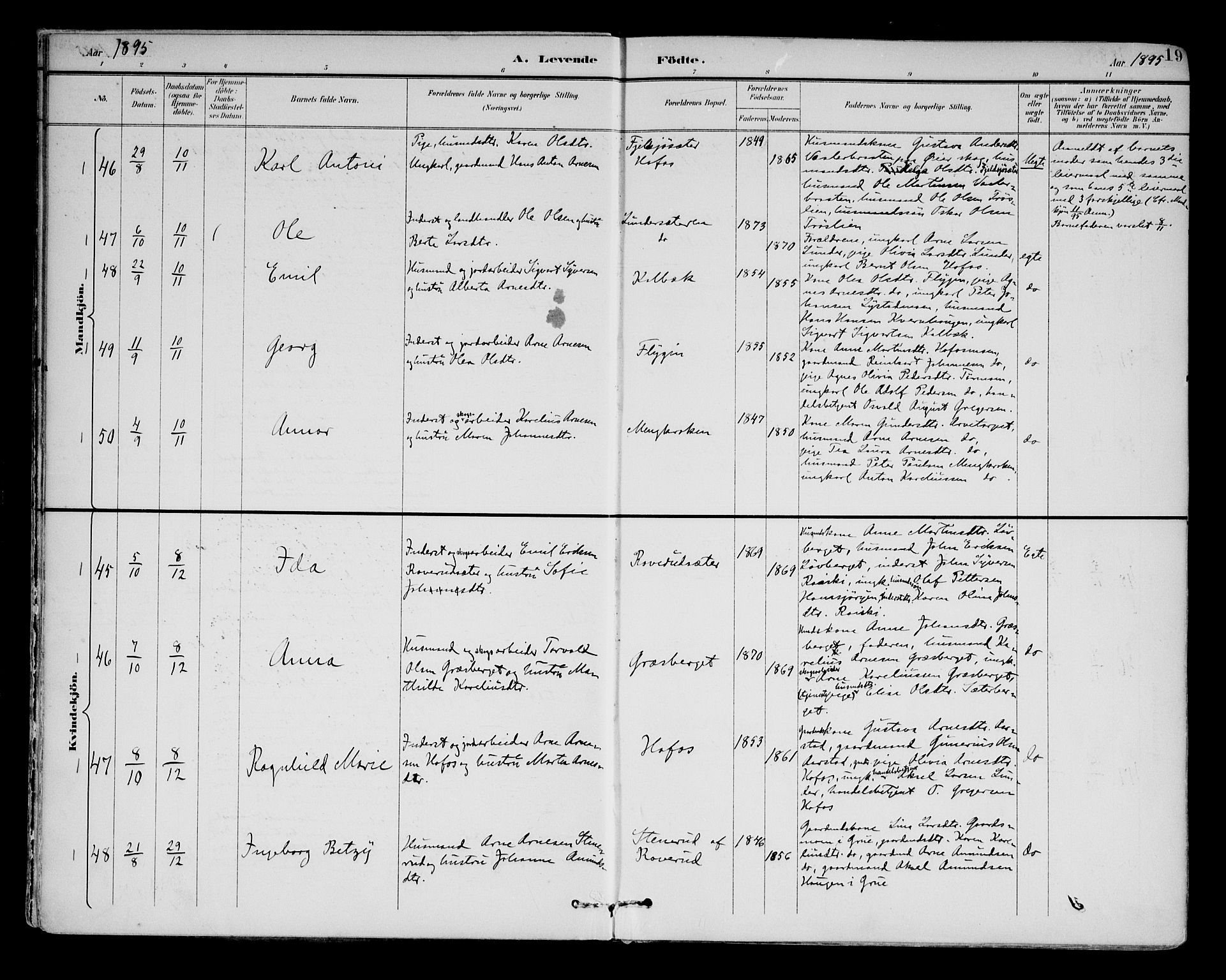 Brandval prestekontor, AV/SAH-PREST-034/H/Ha/Haa/L0003: Parish register (official) no. 3, 1894-1909, p. 19