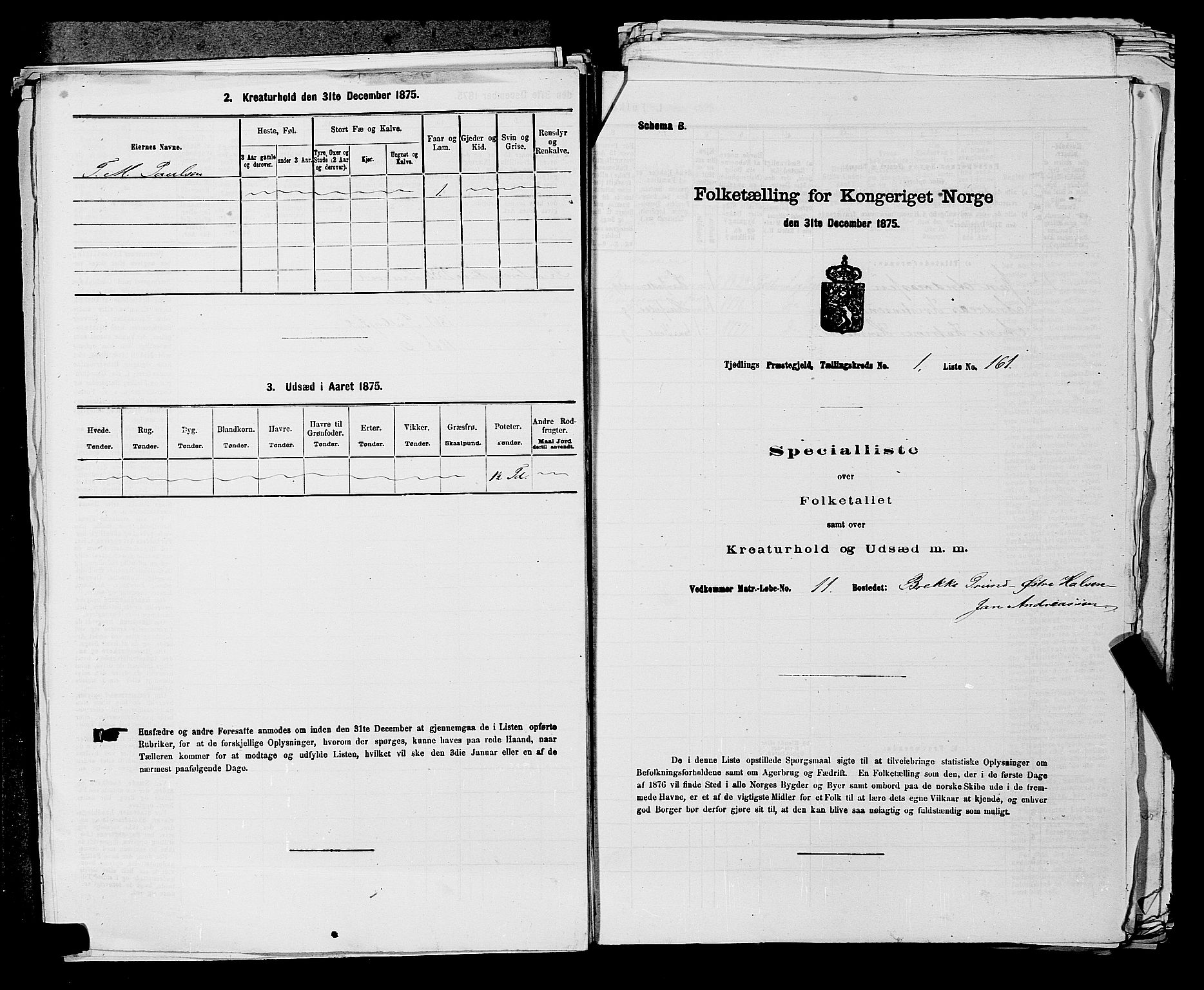 SAKO, 1875 census for 0725P Tjølling, 1875, p. 382