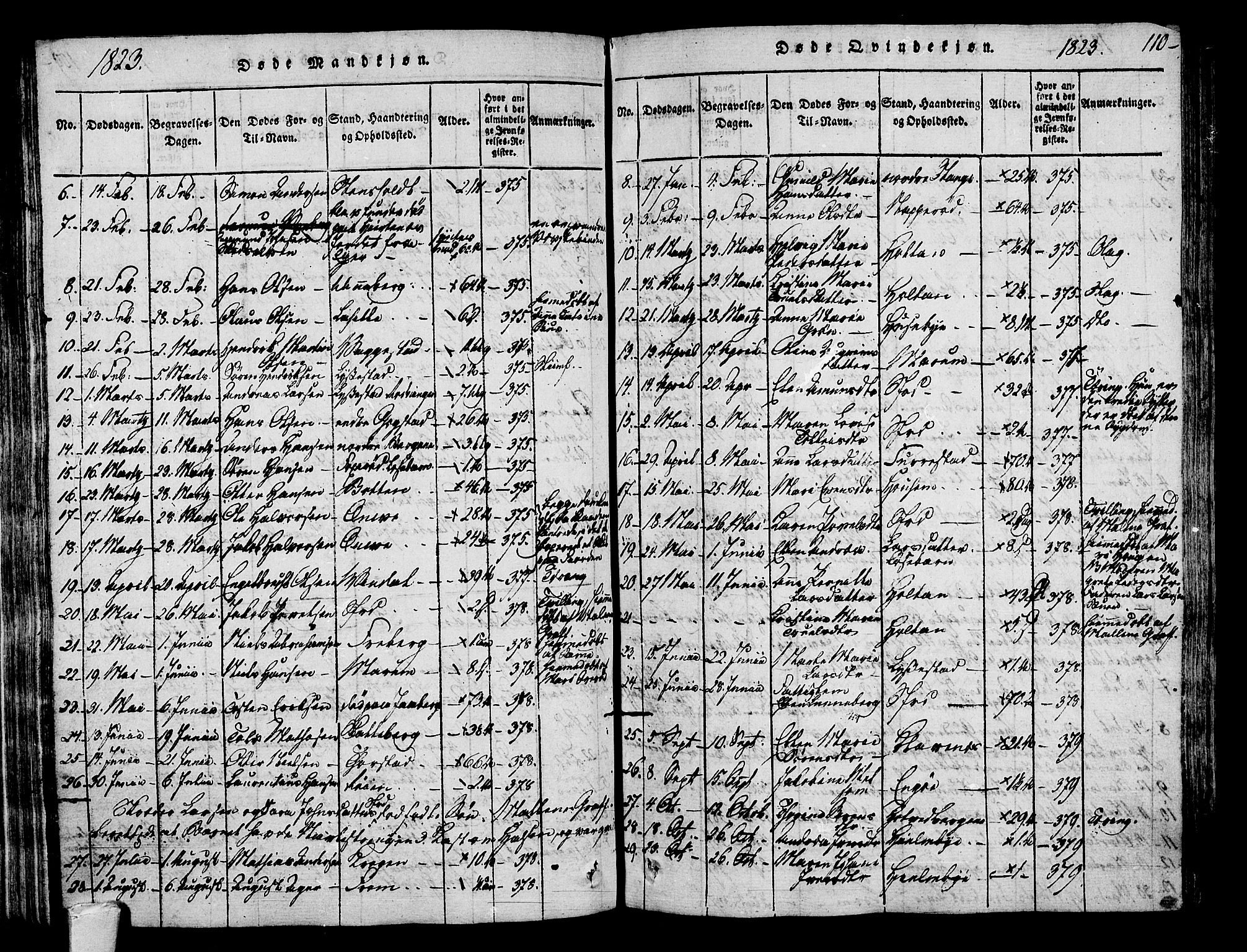 Sandar kirkebøker, AV/SAKO-A-243/F/Fa/L0004: Parish register (official) no. 4, 1814-1832, p. 110