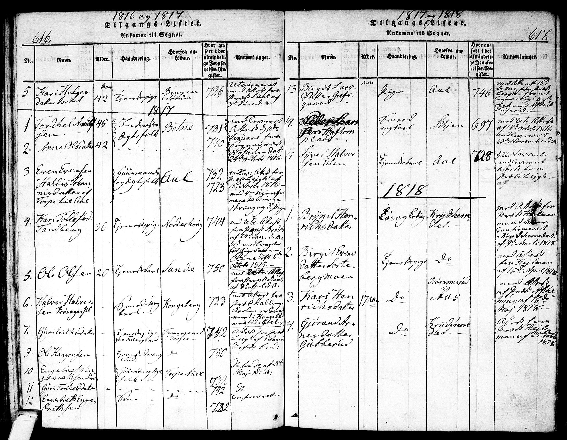 Nes kirkebøker, SAKO/A-236/F/Fa/L0007: Parish register (official) no. 7, 1815-1823, p. 616-617