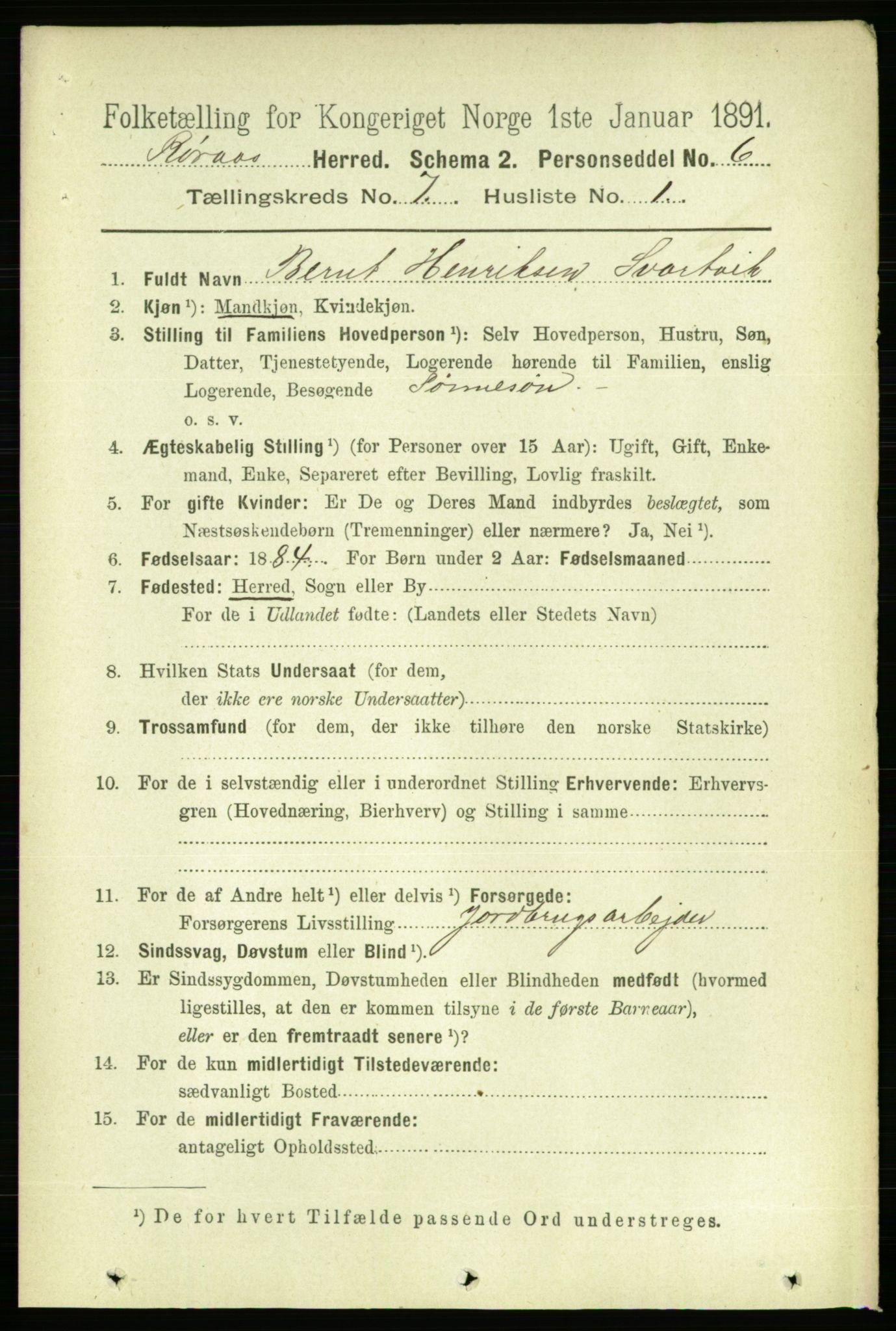 RA, 1891 census for 1640 Røros, 1891, p. 1379