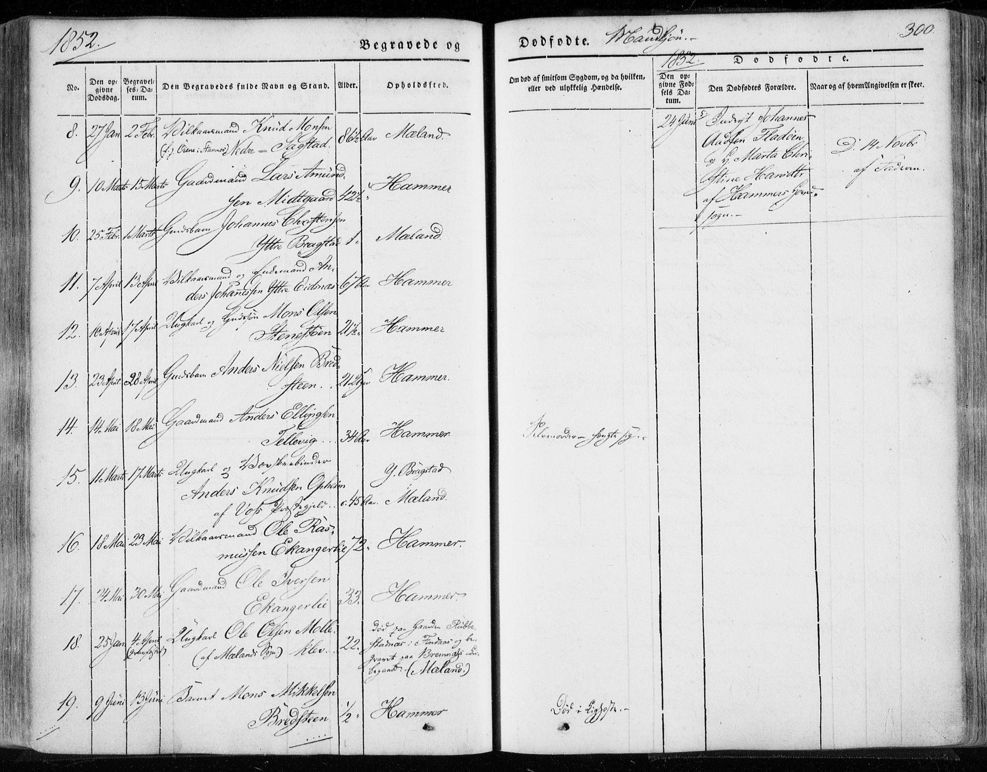 Hamre sokneprestembete, AV/SAB-A-75501/H/Ha/Haa/Haaa/L0013: Parish register (official) no. A 13, 1846-1857, p. 300