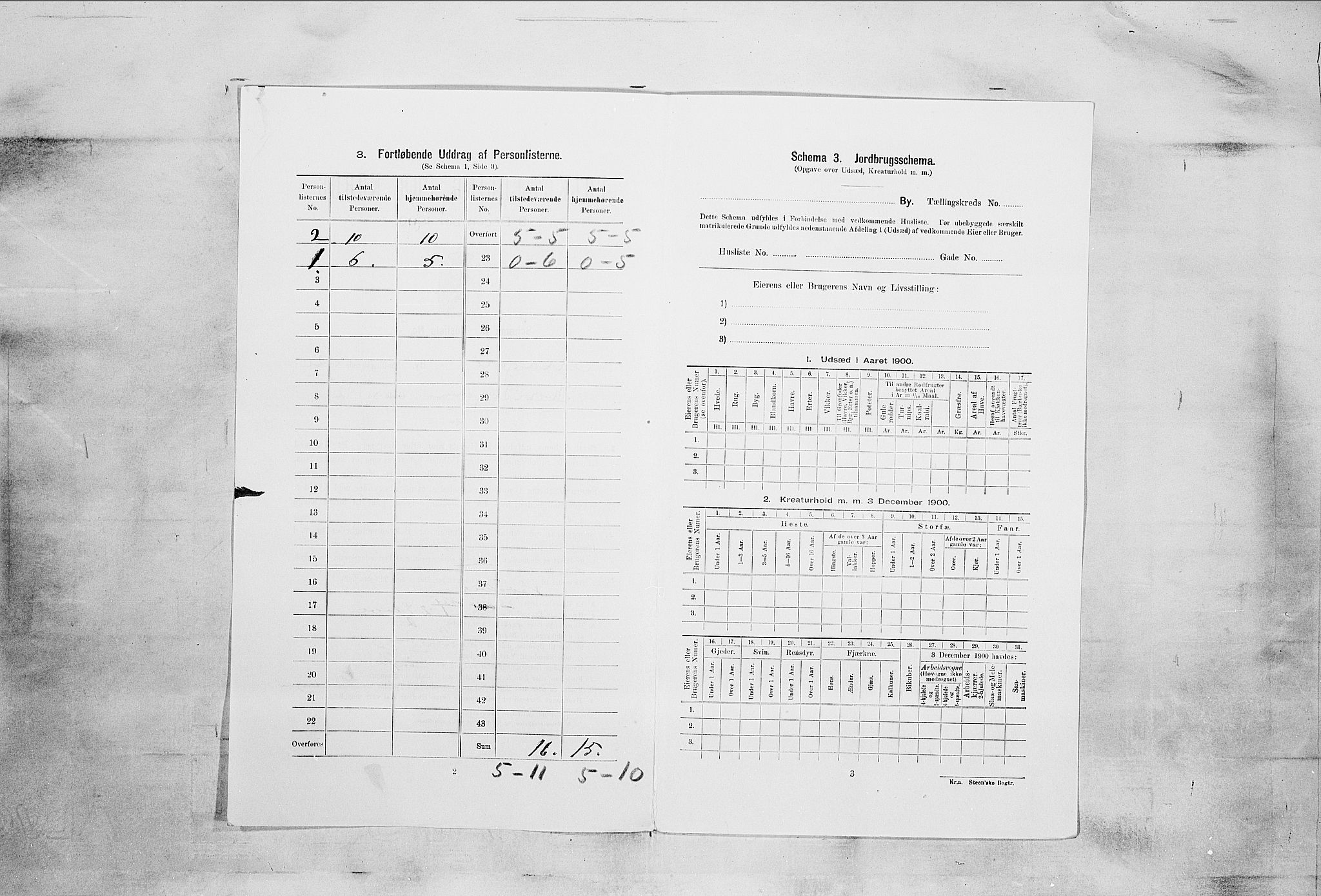 SAKO, 1900 census for Kragerø, 1900, p. 2303