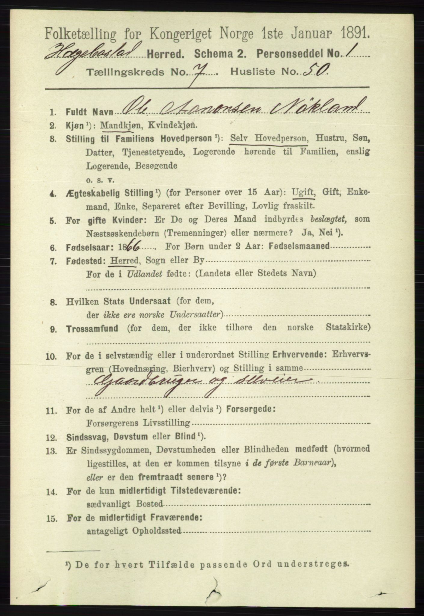 RA, 1891 census for 1034 Hægebostad, 1891, p. 2413