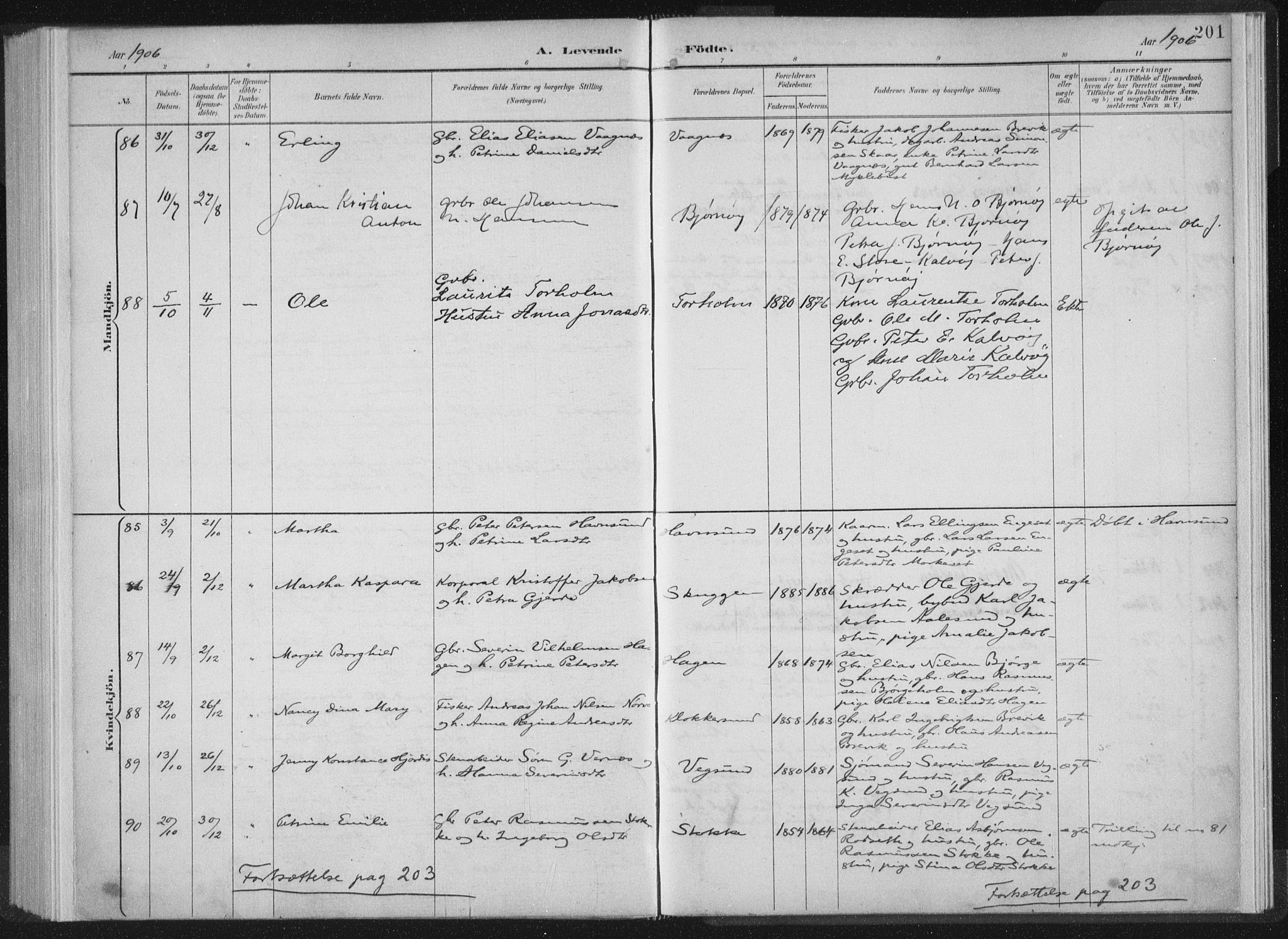 Ministerialprotokoller, klokkerbøker og fødselsregistre - Møre og Romsdal, AV/SAT-A-1454/528/L0405: Parish register (official) no. 528A14, 1891-1906, p. 201