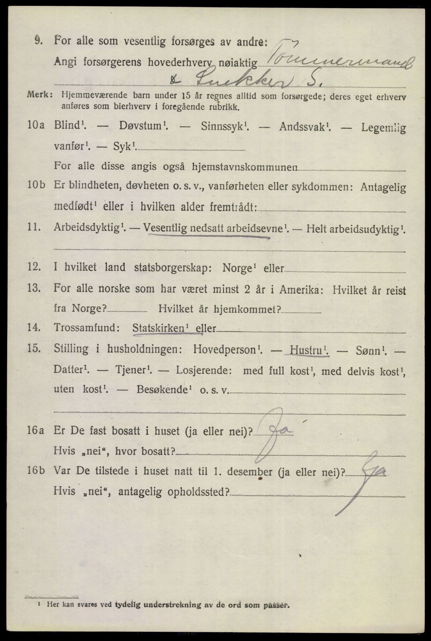 SAKO, 1920 census for Hol (Buskerud), 1920, p. 1856