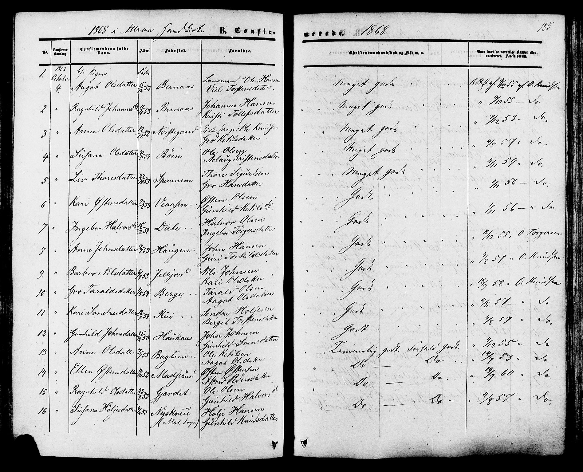 Tinn kirkebøker, SAKO/A-308/F/Fa/L0006: Parish register (official) no. I 6, 1857-1878, p. 185