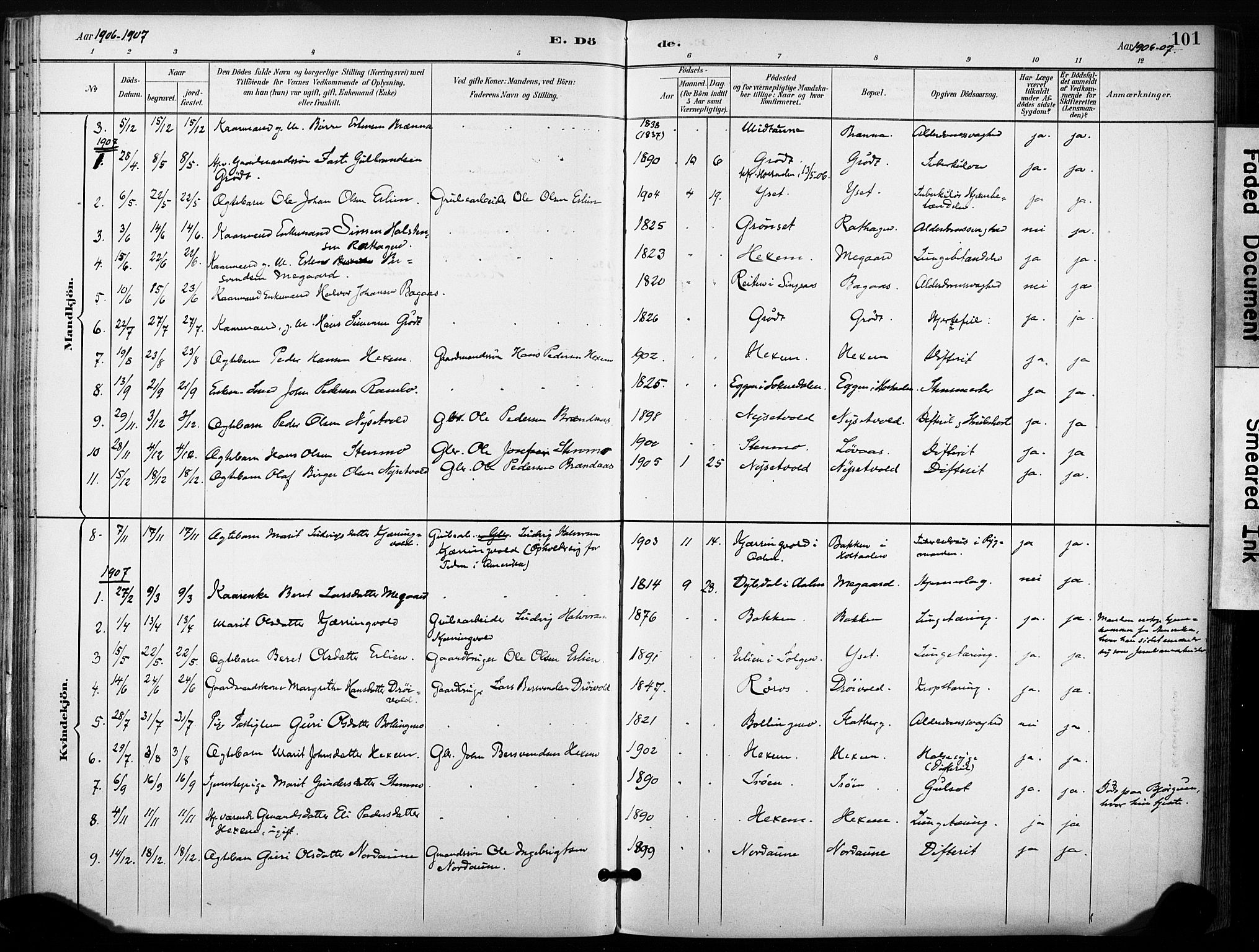 Ministerialprotokoller, klokkerbøker og fødselsregistre - Sør-Trøndelag, AV/SAT-A-1456/685/L0973: Parish register (official) no. 685A10, 1891-1907, p. 101