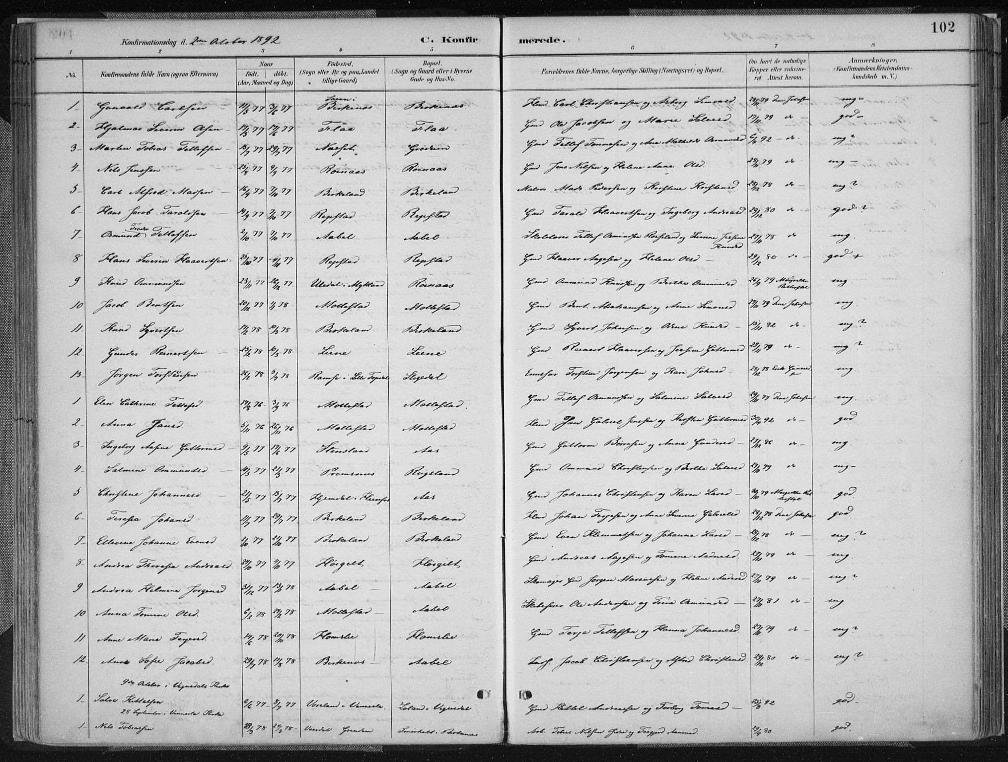 Birkenes sokneprestkontor, SAK/1111-0004/F/Fa/L0005: Parish register (official) no. A 5, 1887-1907, p. 102
