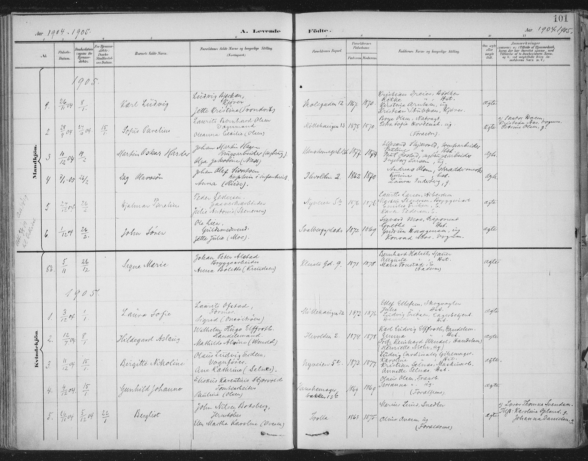 Ministerialprotokoller, klokkerbøker og fødselsregistre - Sør-Trøndelag, SAT/A-1456/603/L0167: Parish register (official) no. 603A06, 1896-1932, p. 101