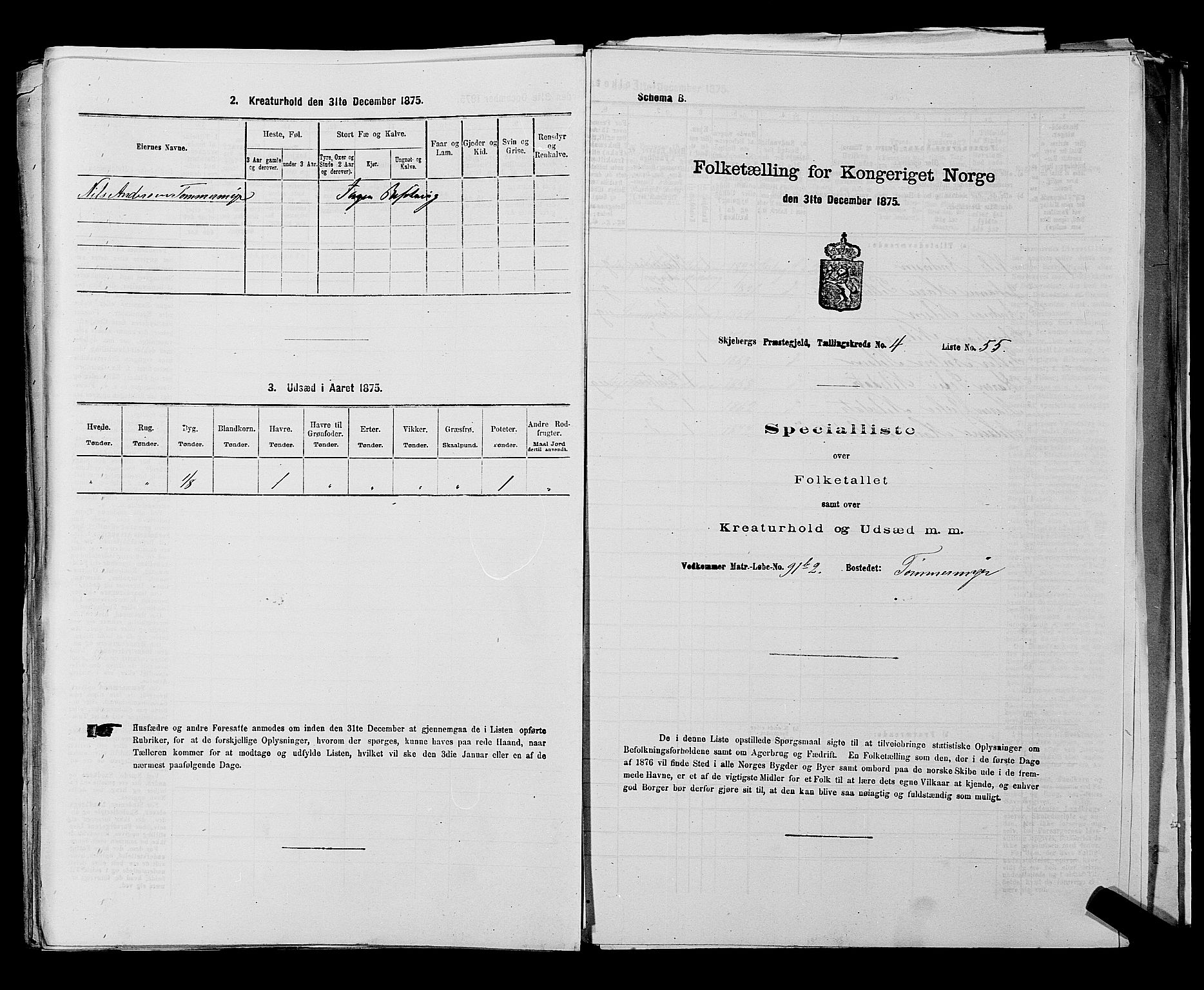 RA, 1875 census for 0115P Skjeberg, 1875, p. 818