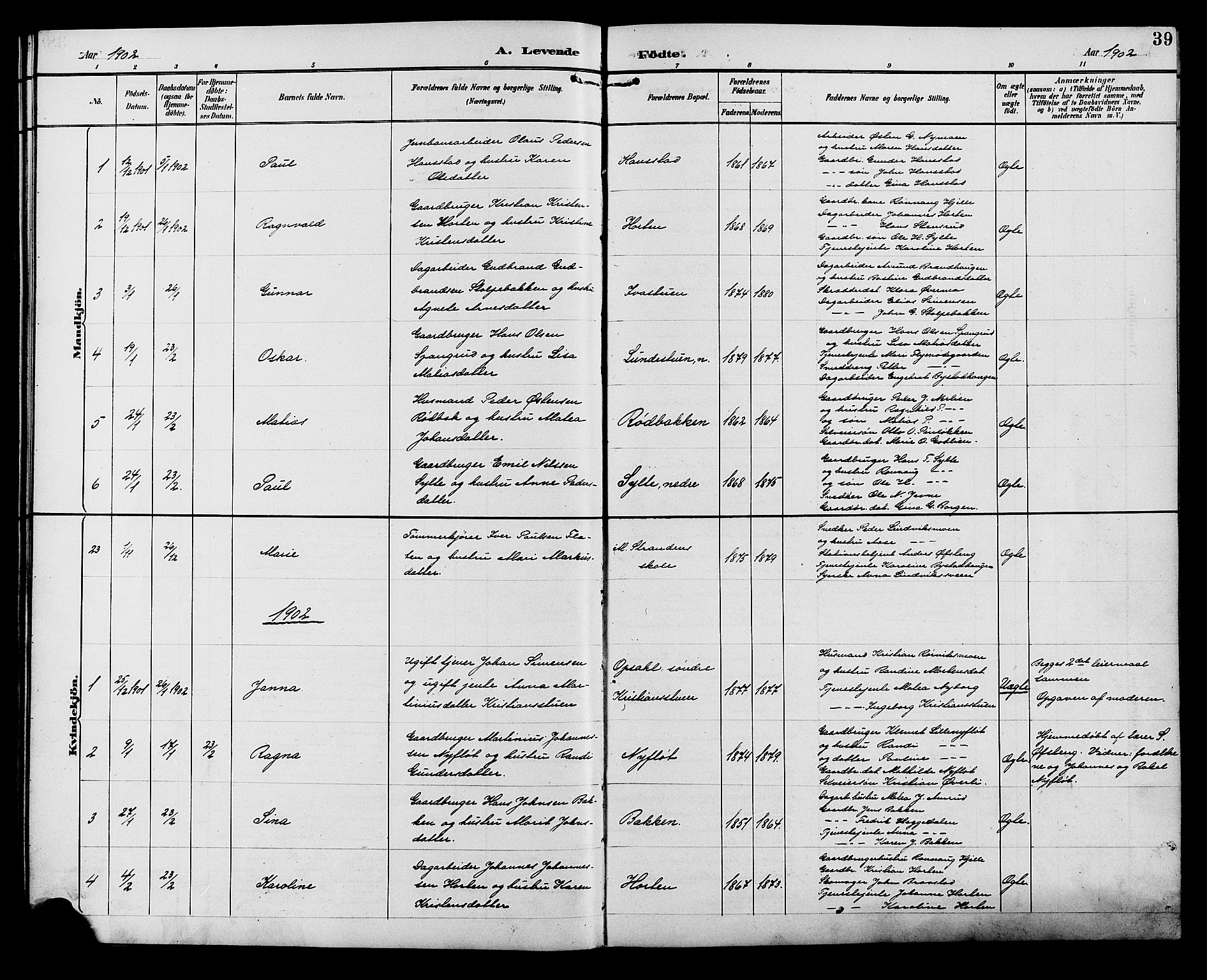 Ringebu prestekontor, SAH/PREST-082/H/Ha/Hab/L0007: Parish register (copy) no. 7, 1890-1910, p. 39