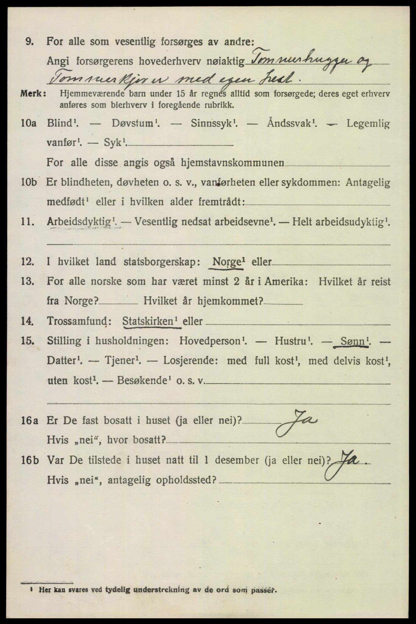 SAH, 1920 census for Trysil, 1920, p. 15242
